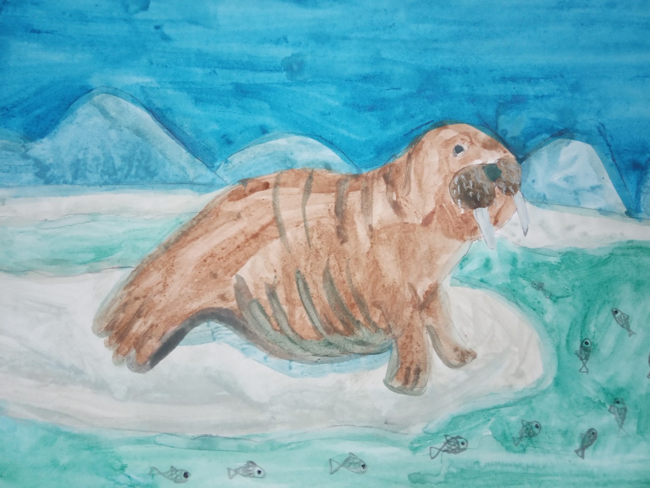 Морж