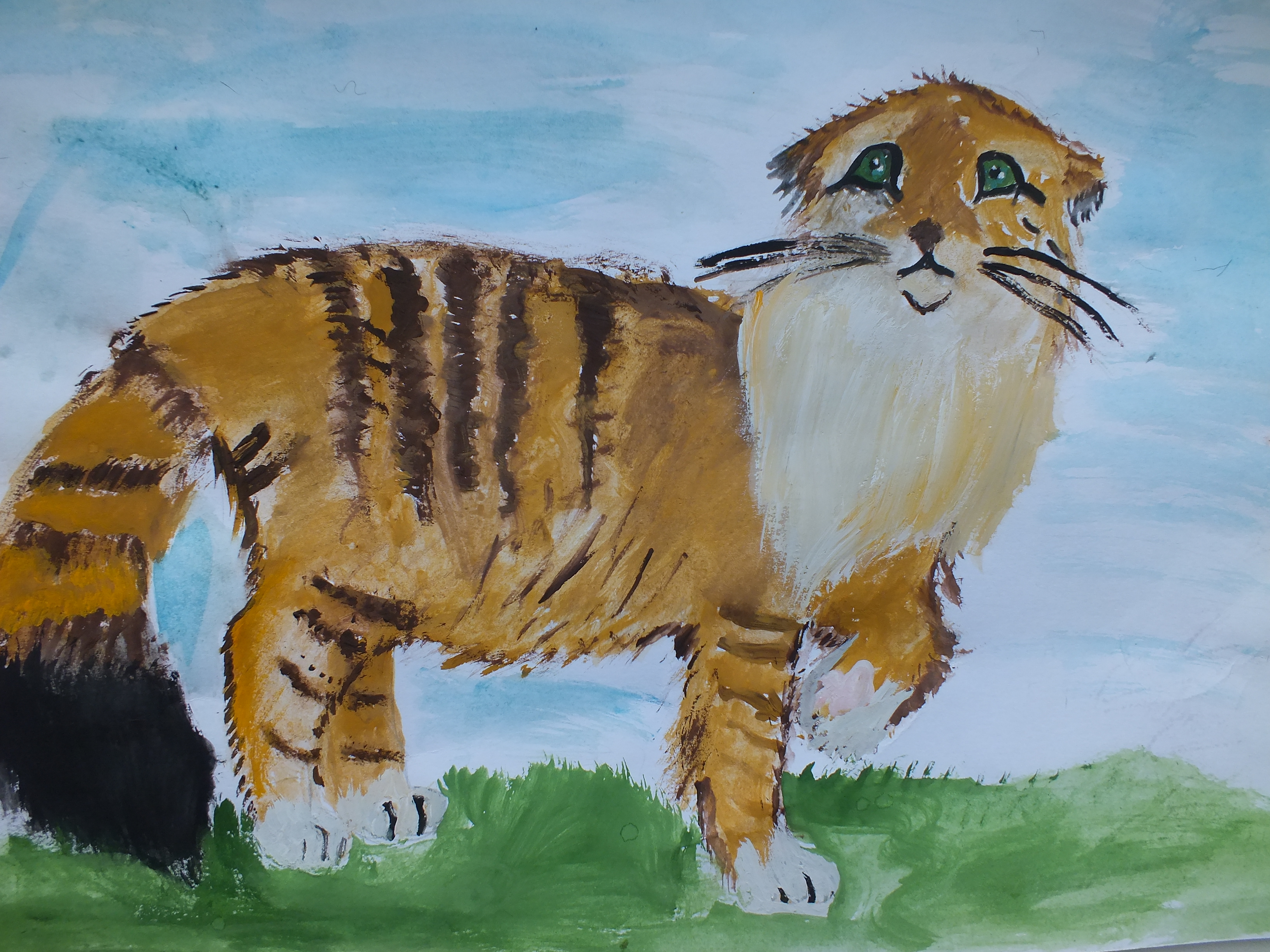 Кот манул