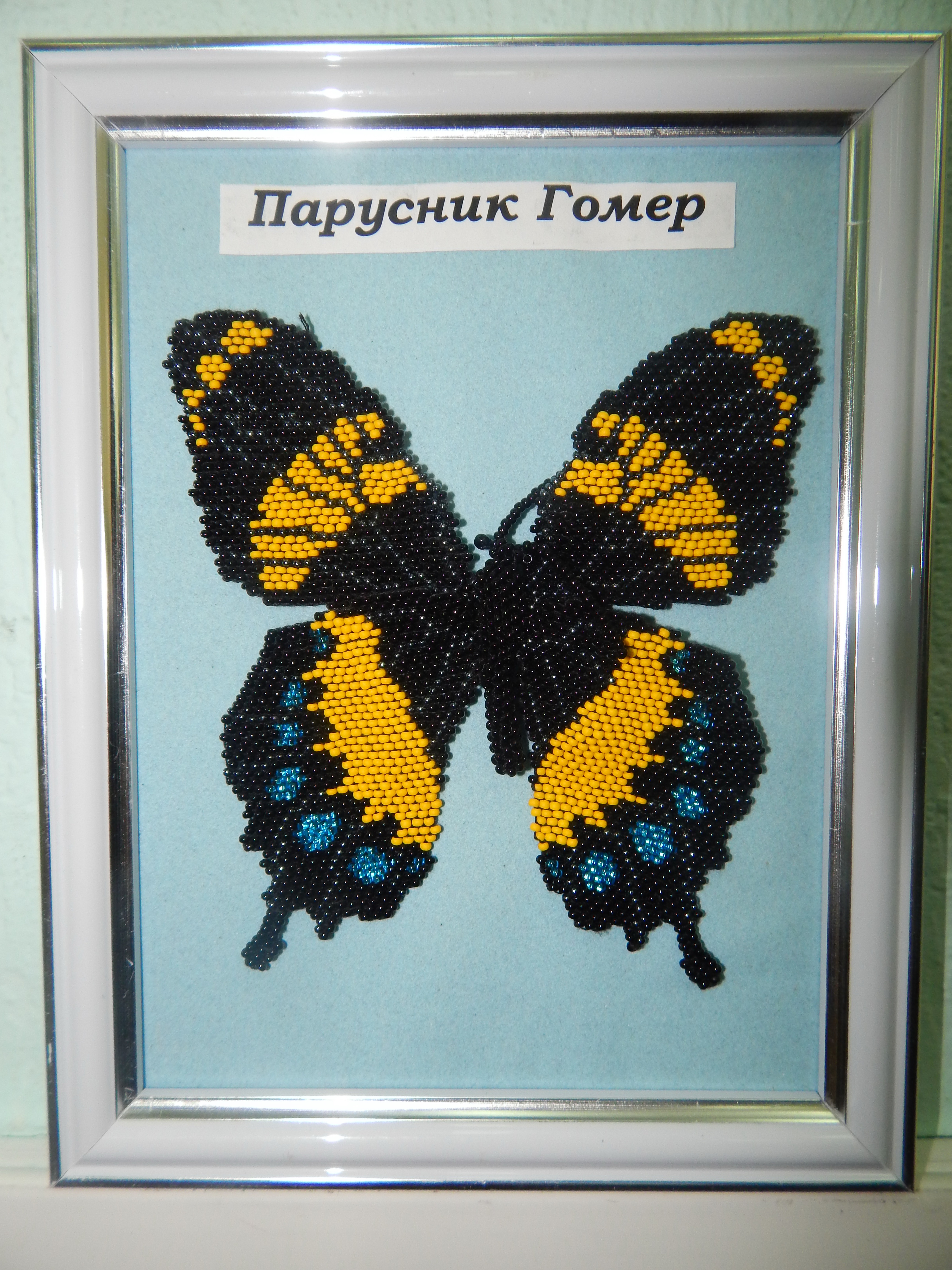 Парусник Гомер