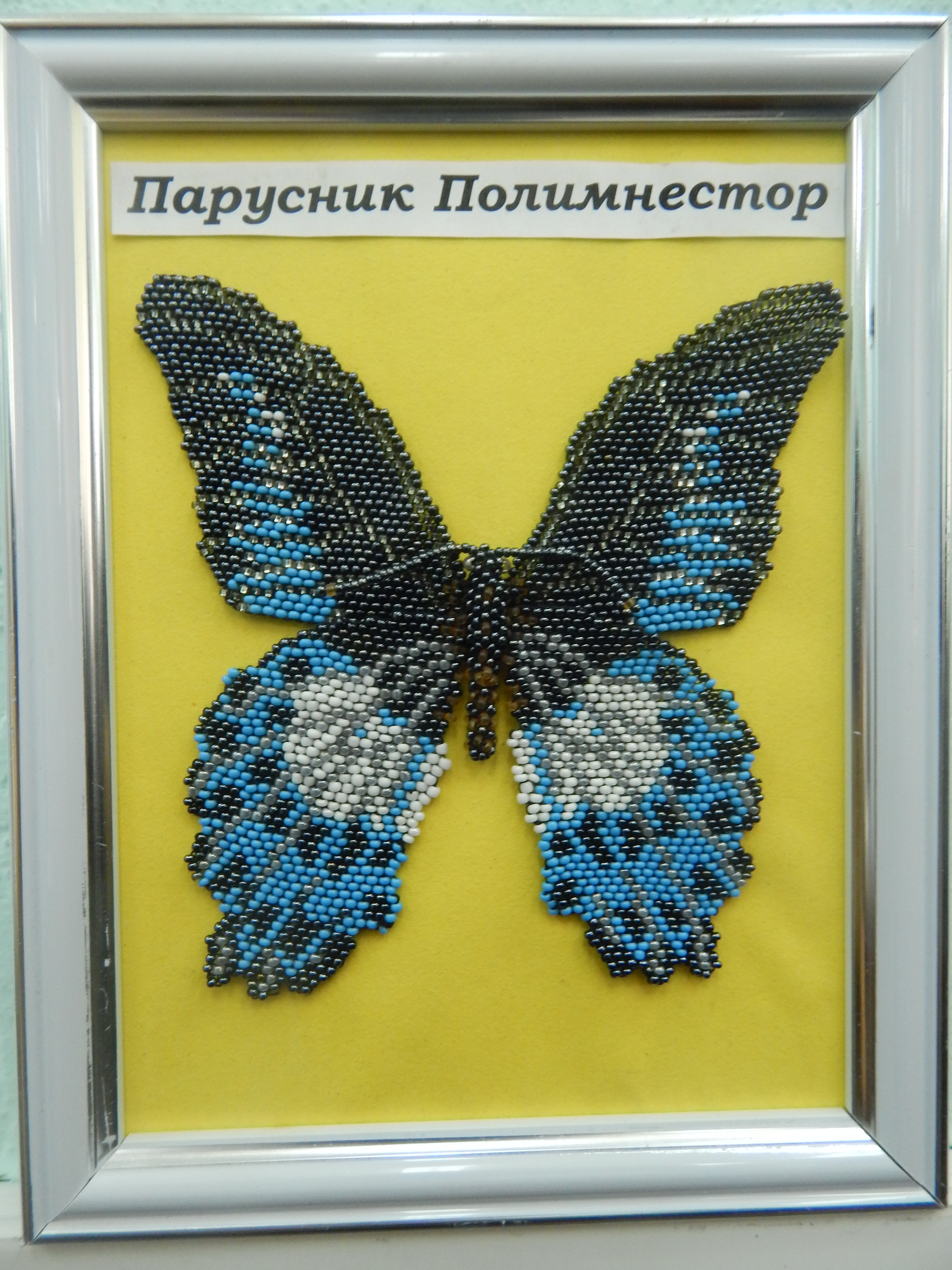 Парусник Полимнестор