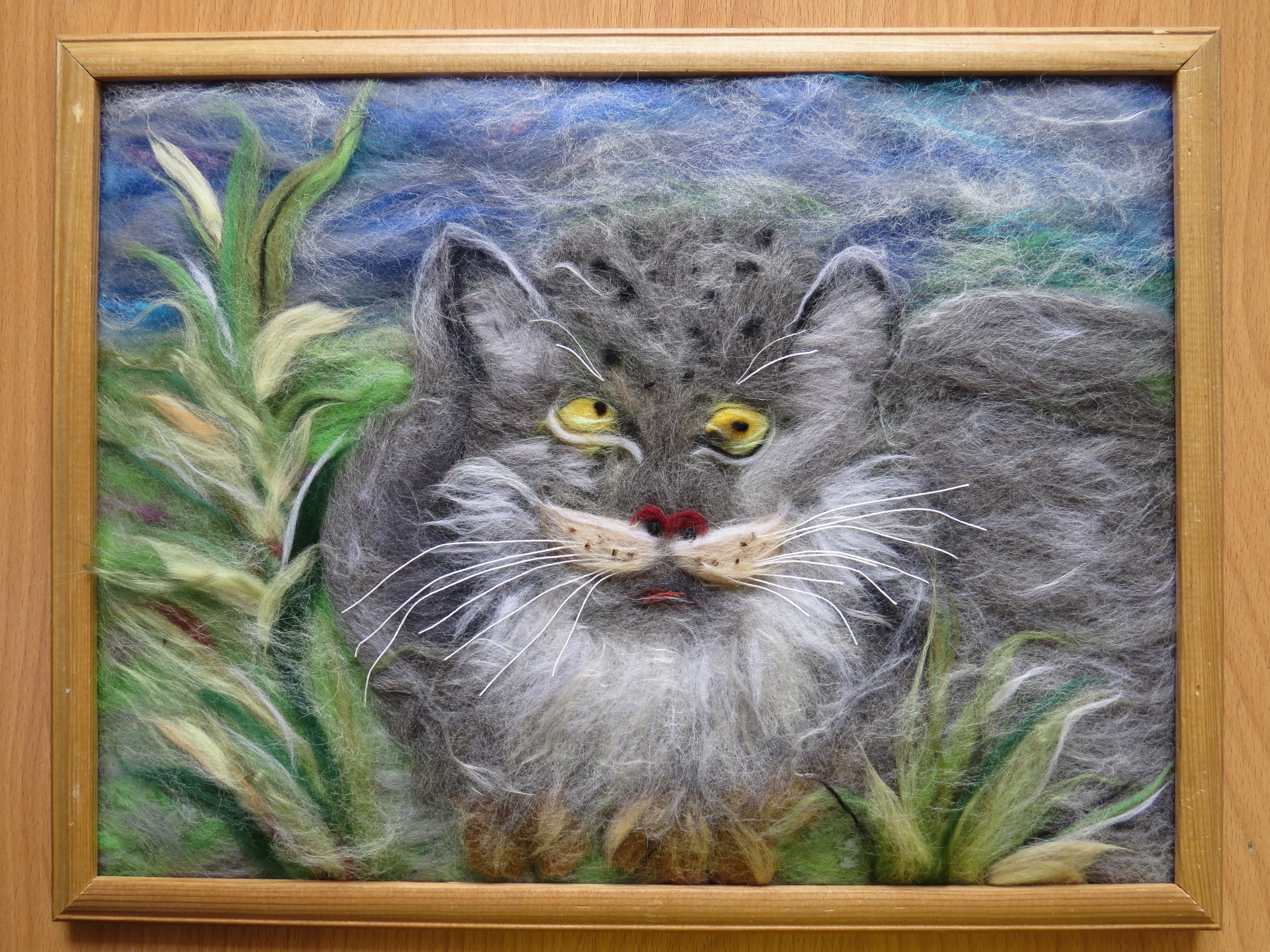 Кот Манул