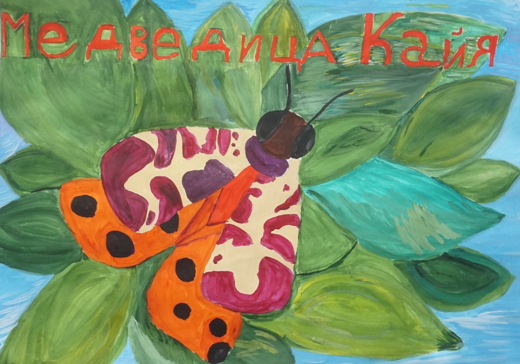 Бабочка Медведица - кайя