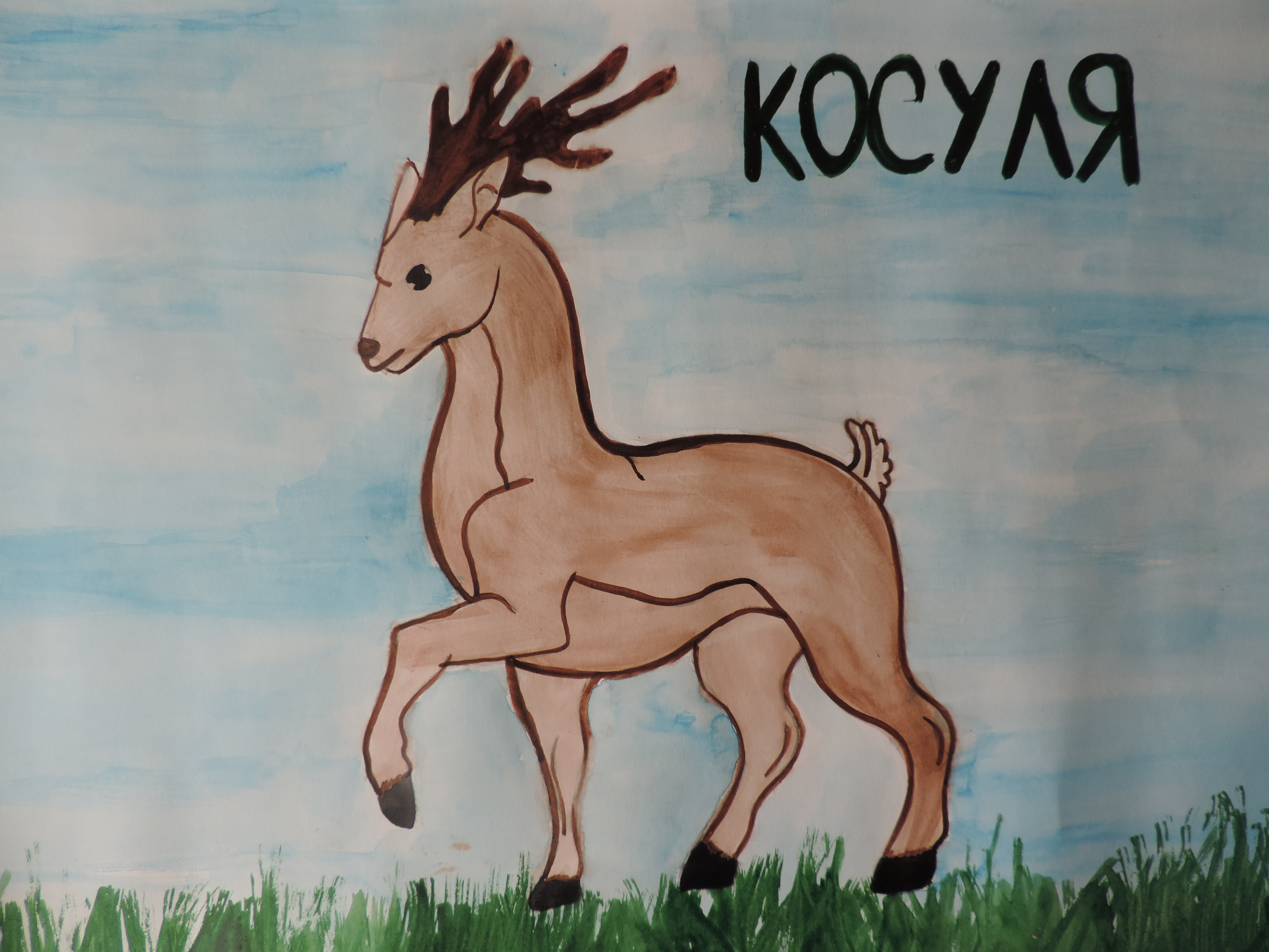 Европейская косуля