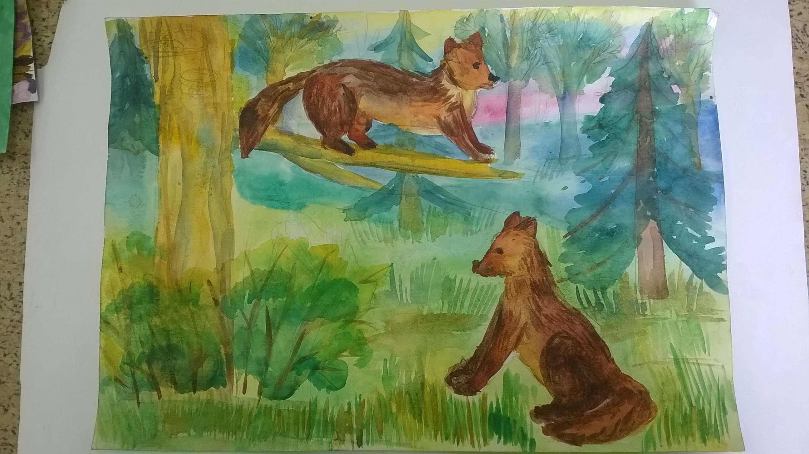 Куницы