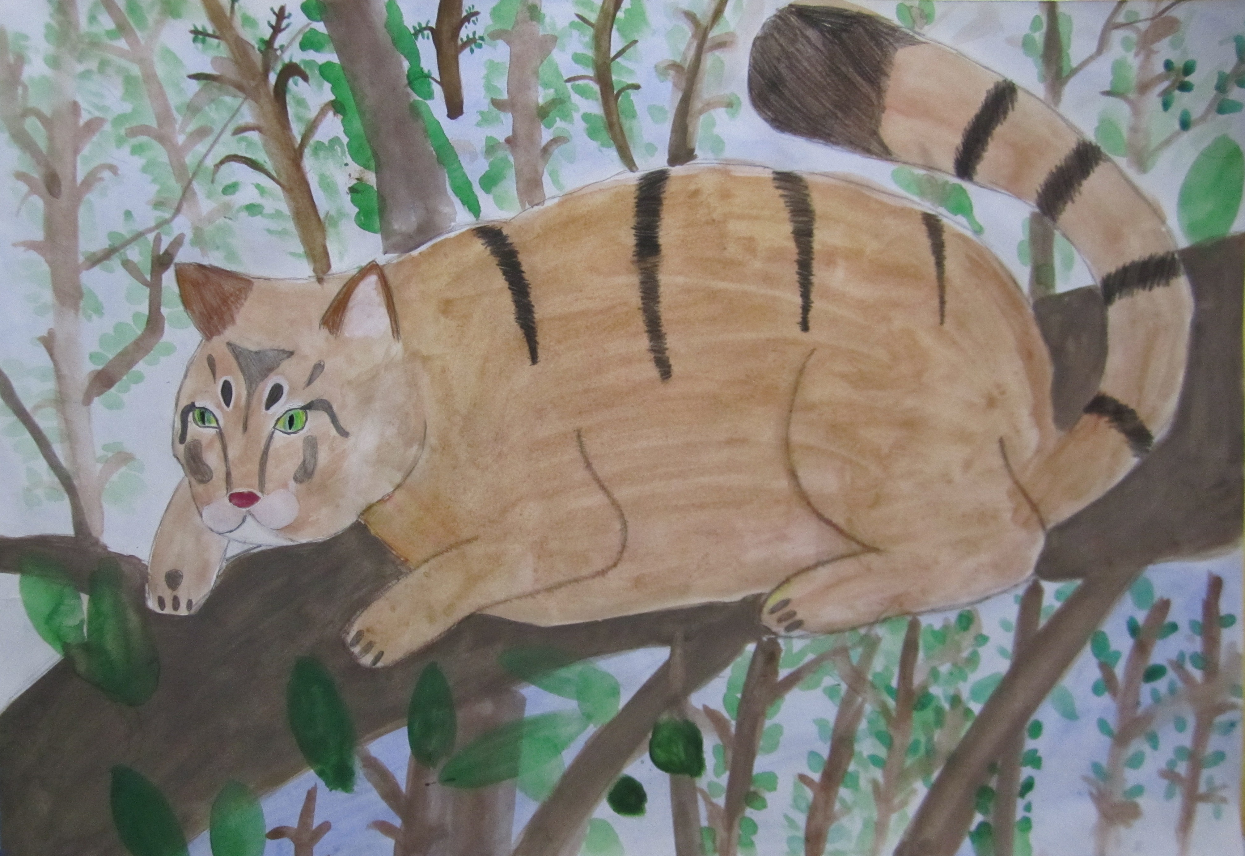 Кавказский  лесной   кот