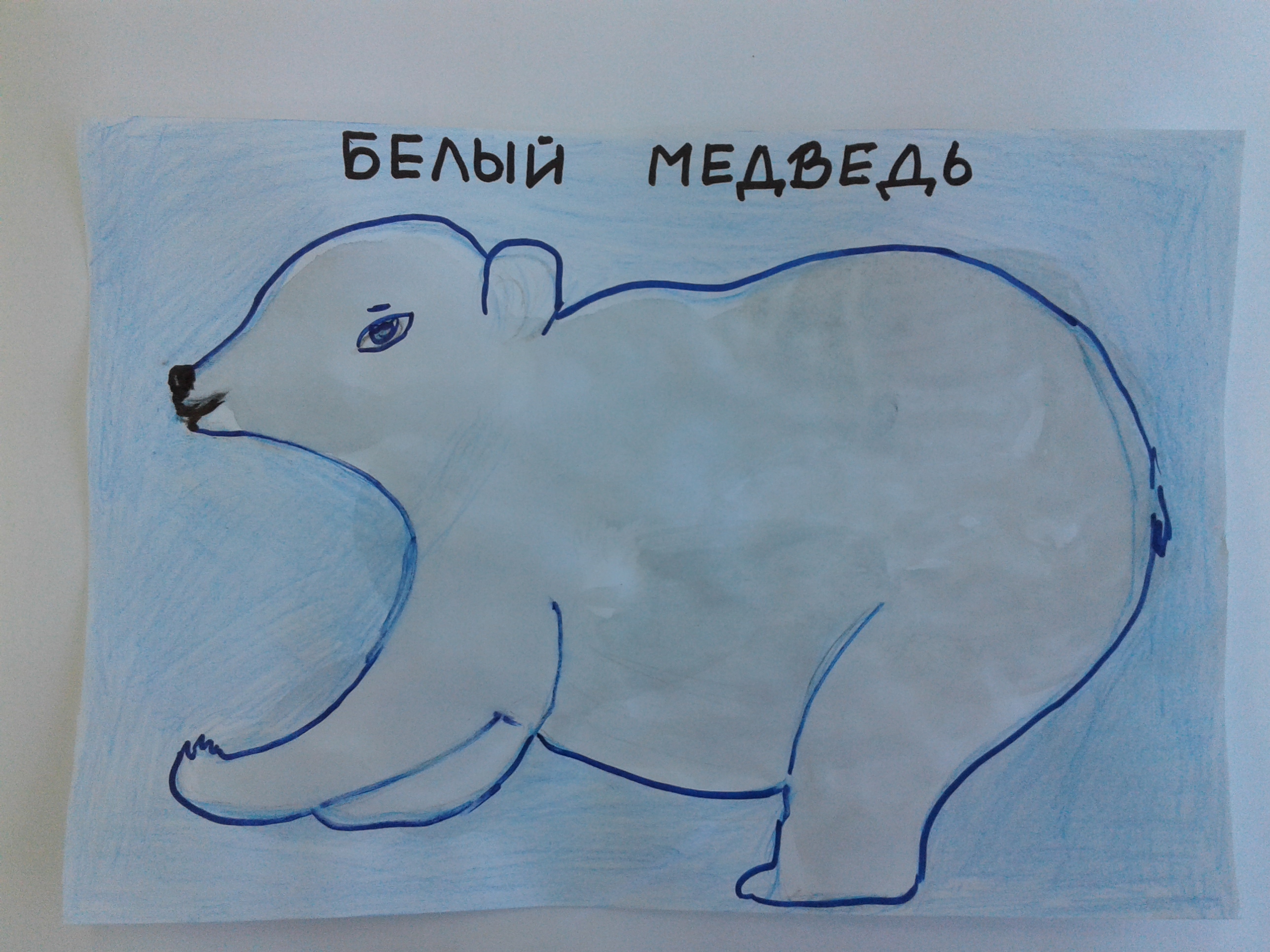 Белый медведь