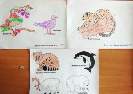 Животные Красной Книги