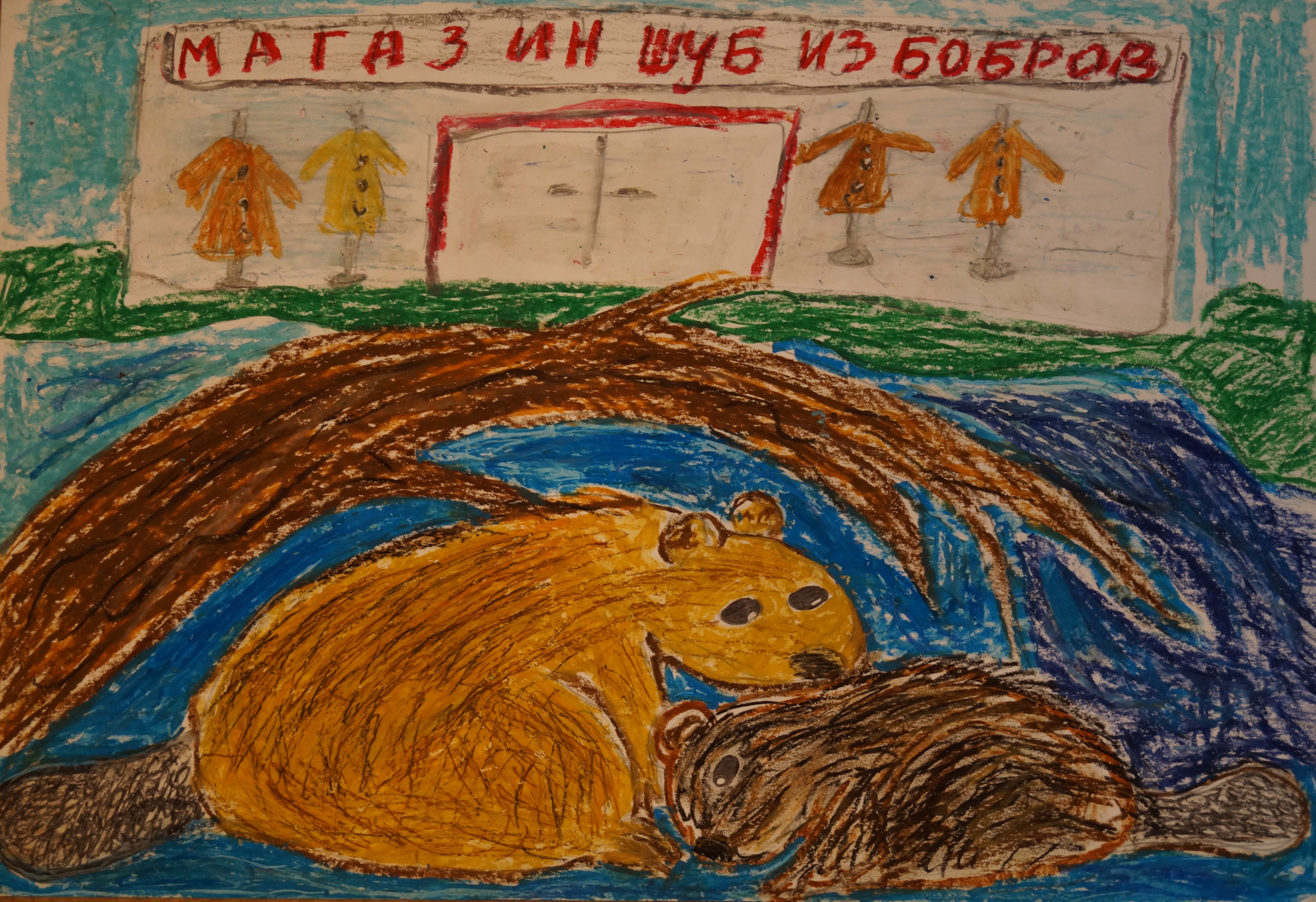 Речной бобр