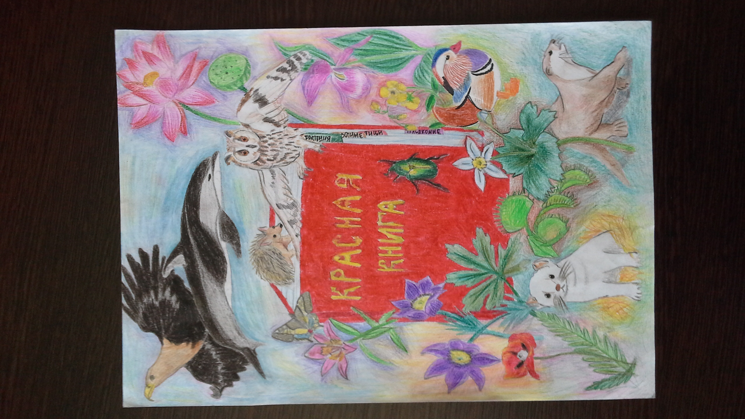 Мир красной книги Мир красной книги