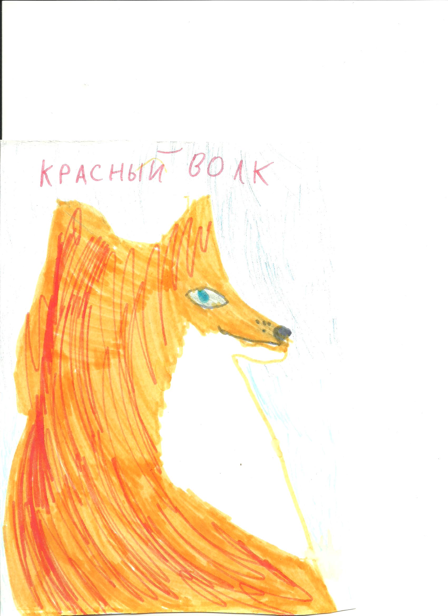 Горный красный волк