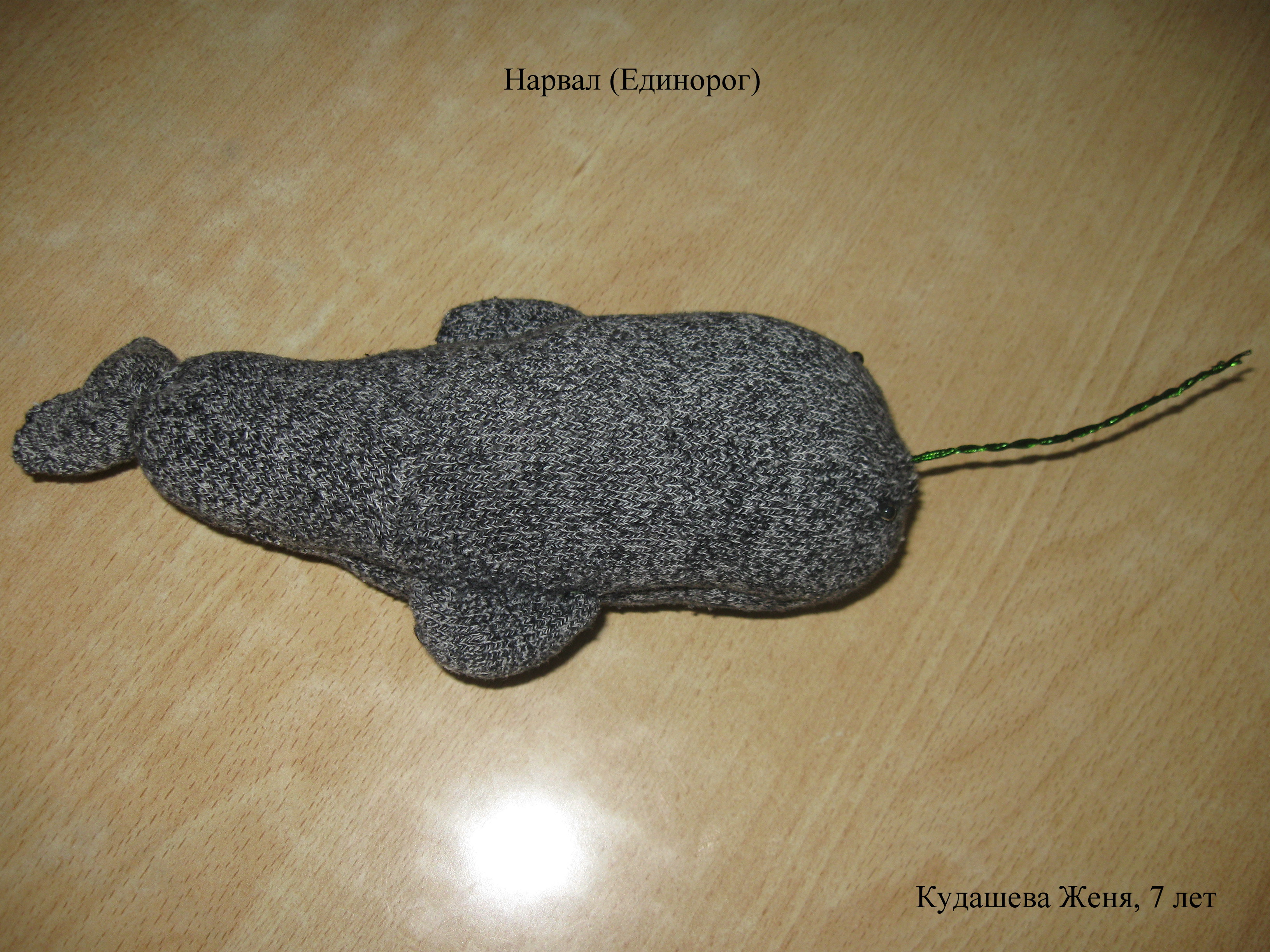 Нарвал