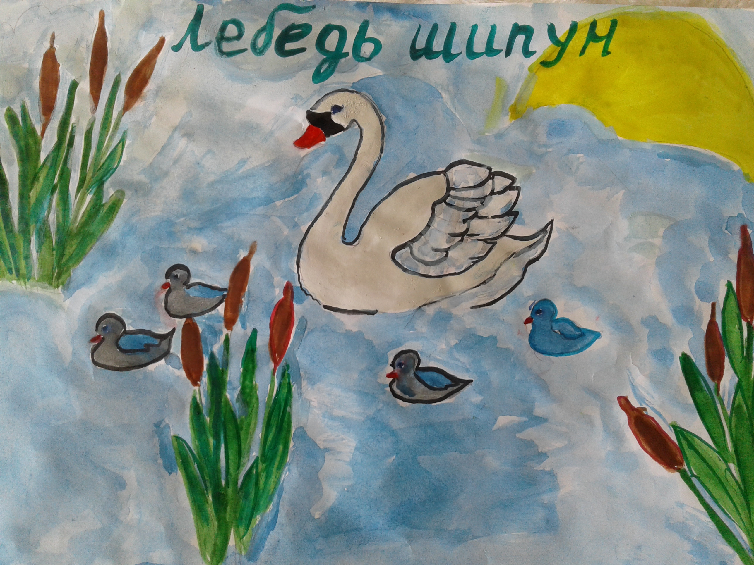 Лебедь шипун