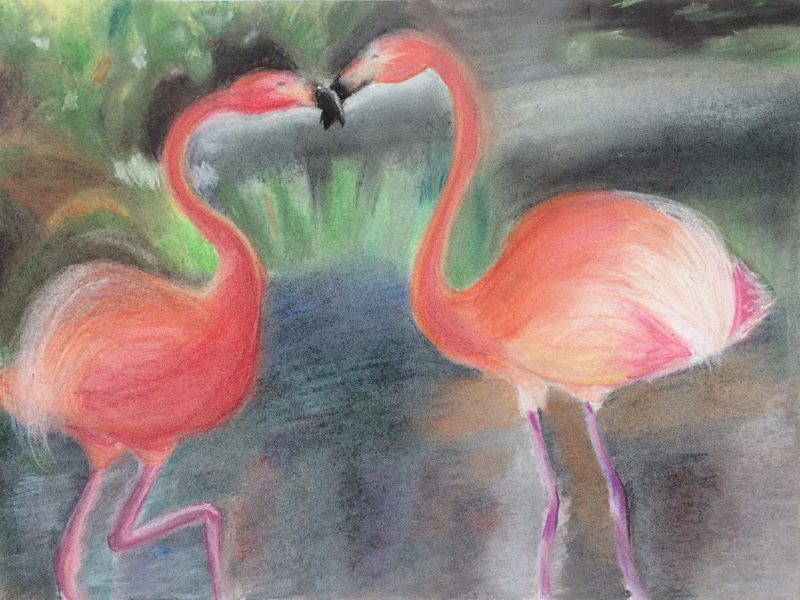 Флами́нго (лат. Phoenicopterus, устаревшее Краснокрыл)