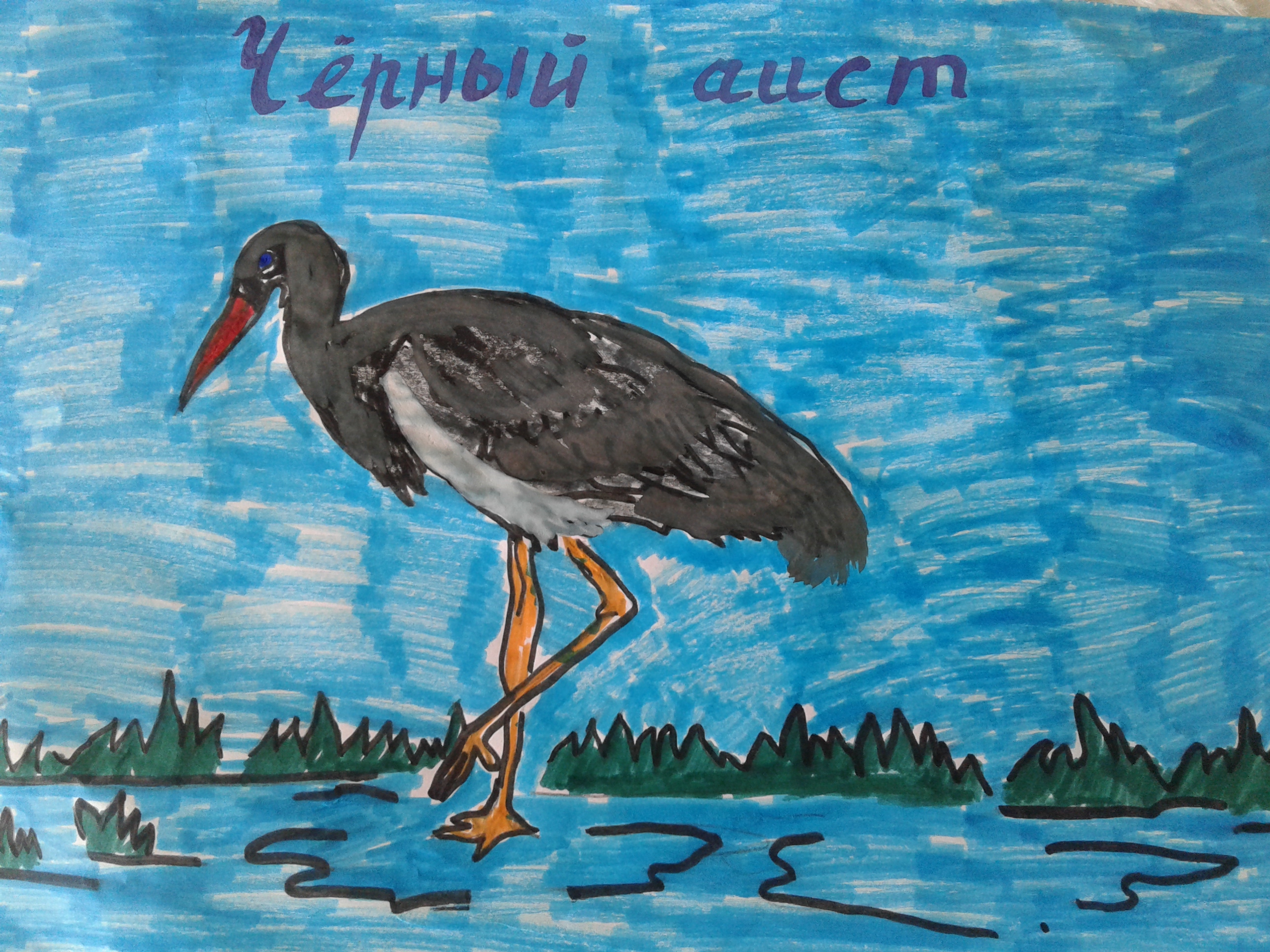 Черный аист Черный аист