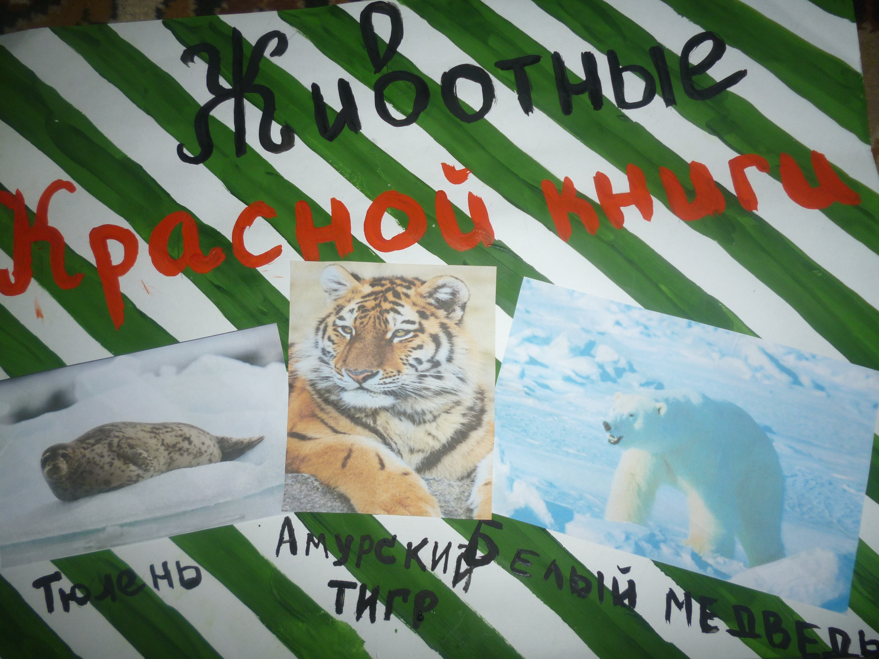 "Животные Красной книги" "Животные Красной книги"