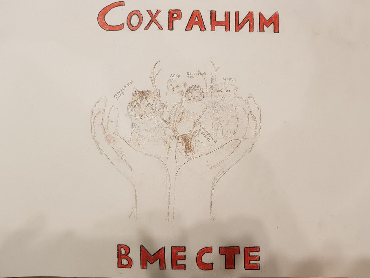 ВСЕ В НАШИХ РУКАХ! ВСЕ В НАШИХ РУКАХ!
