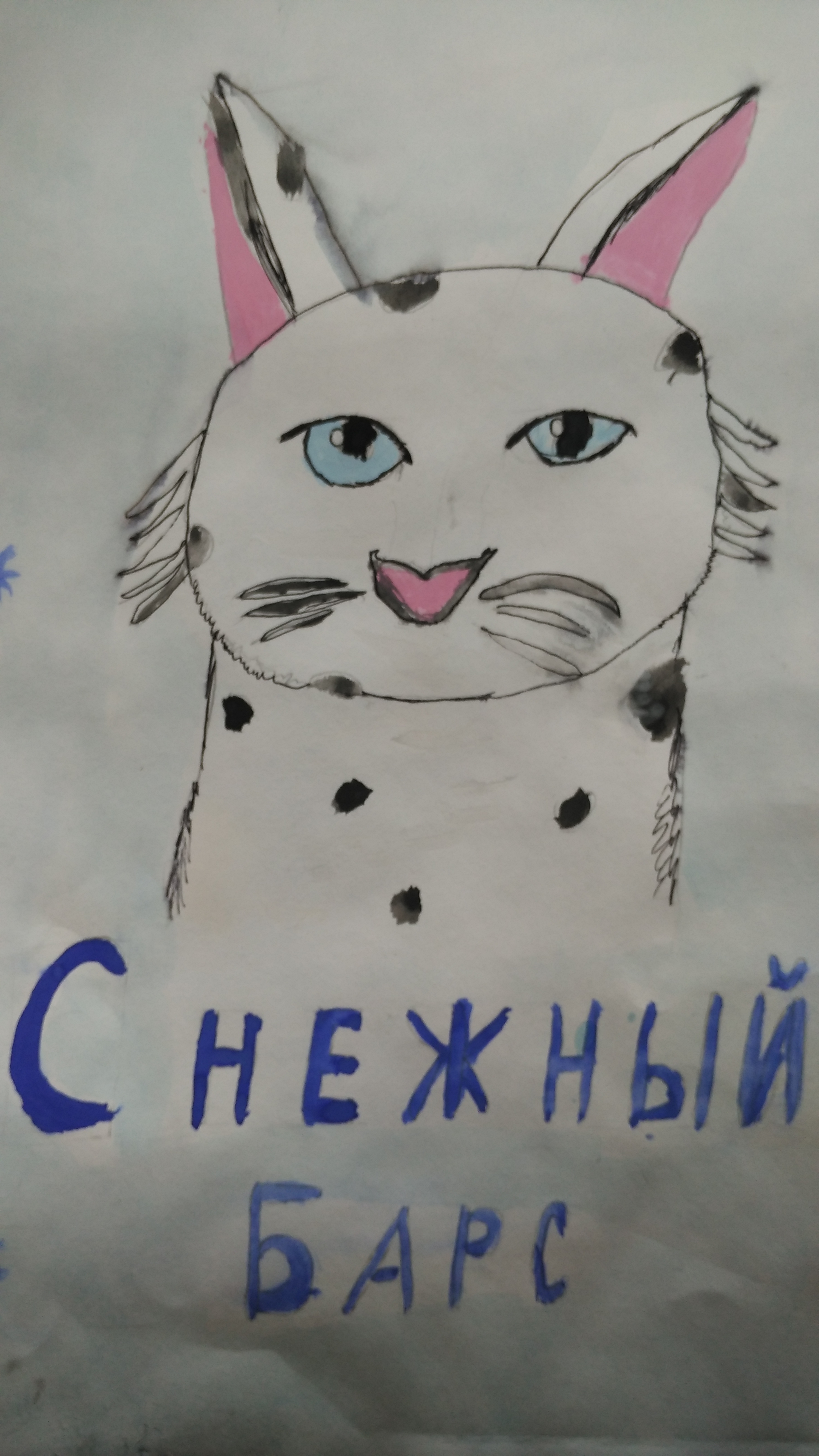 Снежный барс Снежный барс
