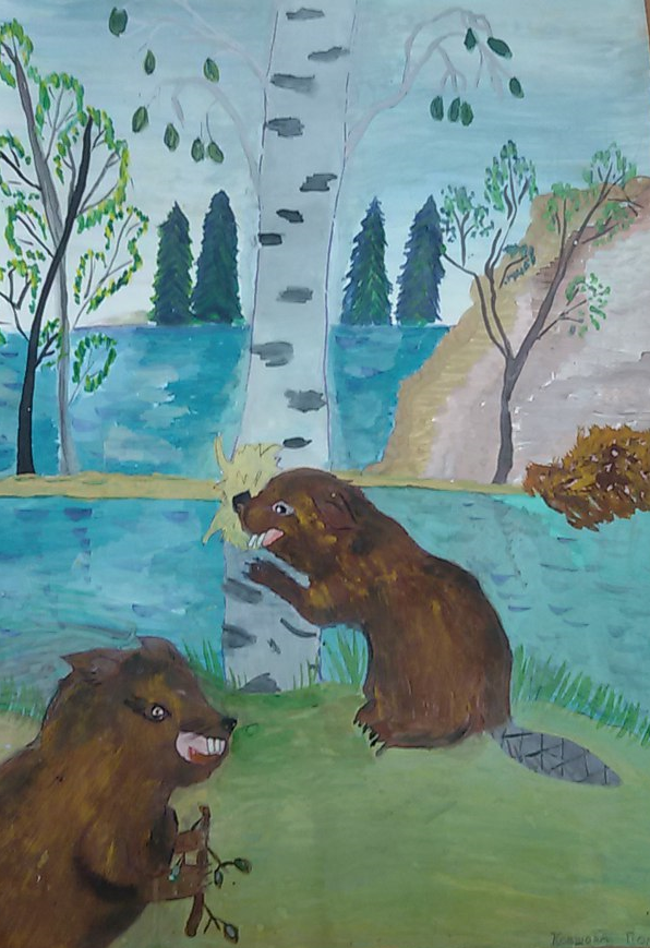 Речной бобр Речной бобр