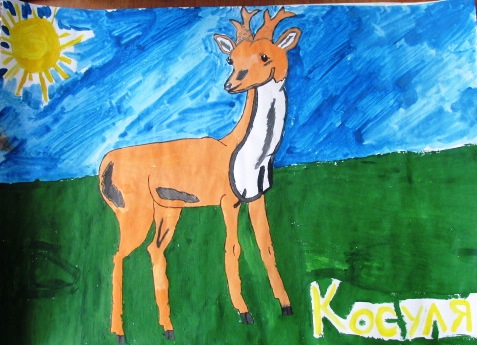 Косуля Косуля