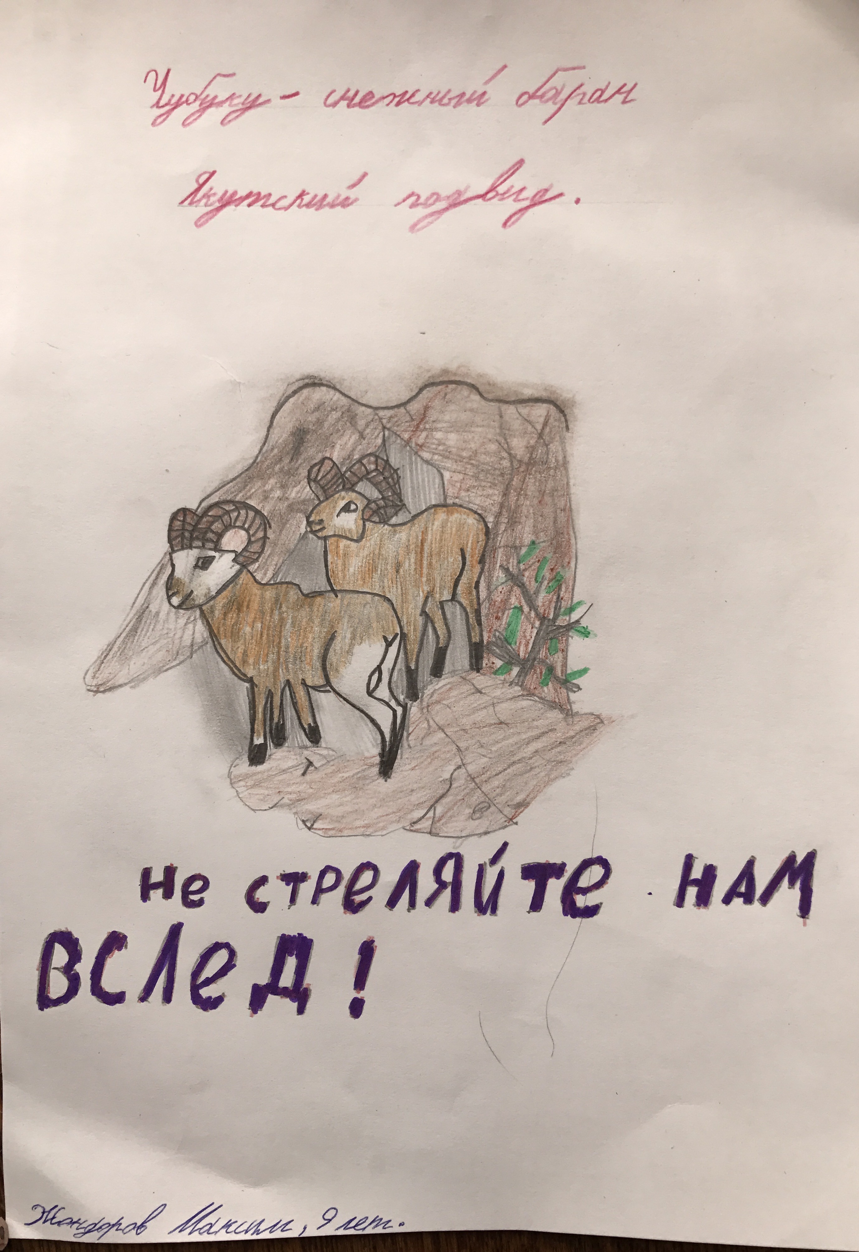 Не стреляйте нам вслед! Не стреляйте нам вслед!