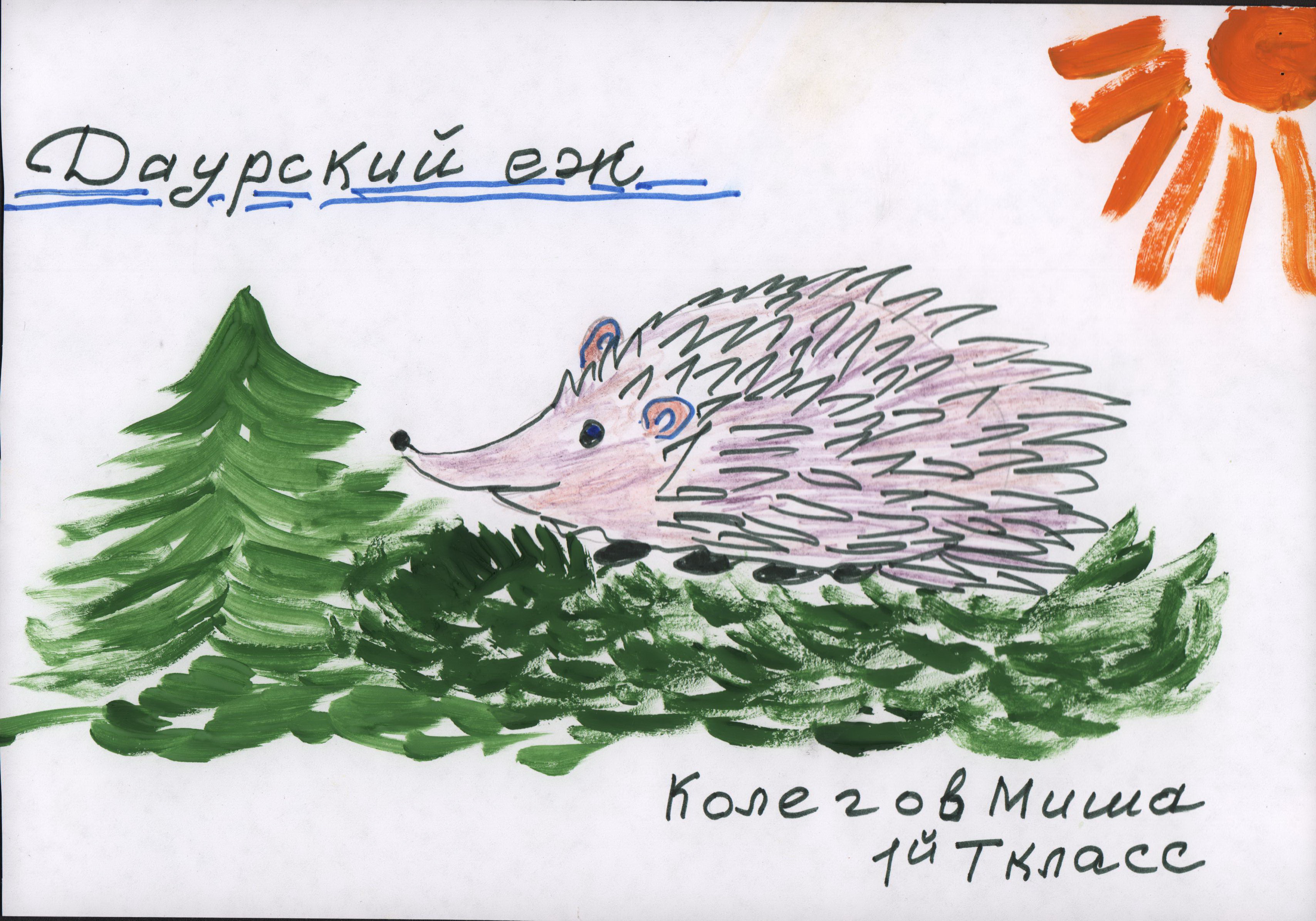 Даурский ёж
