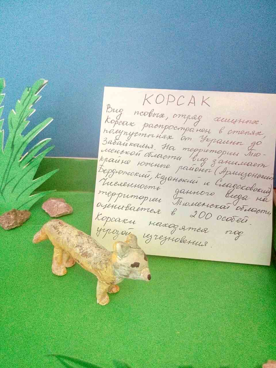 Корсак Корсак