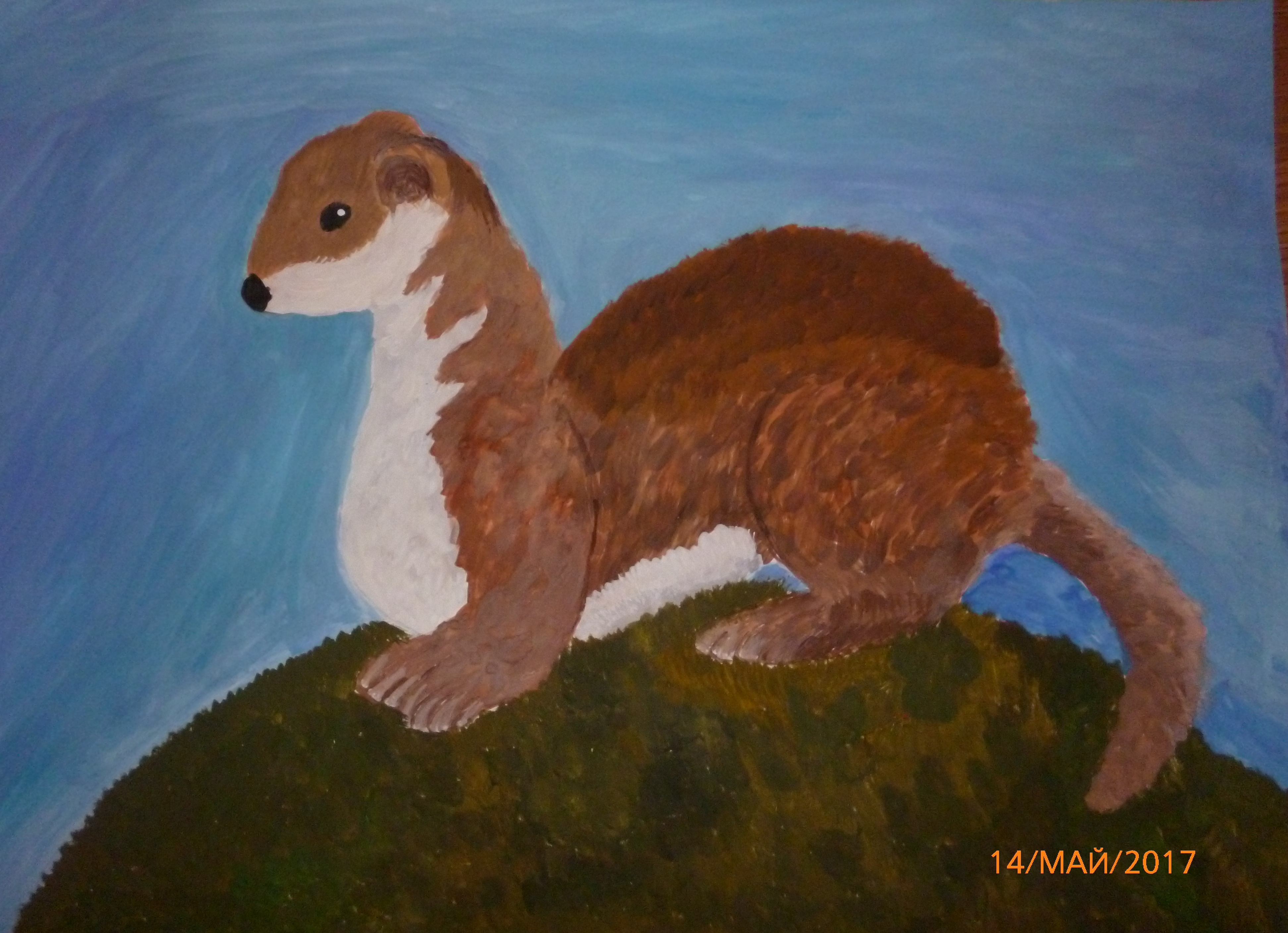 Ласка