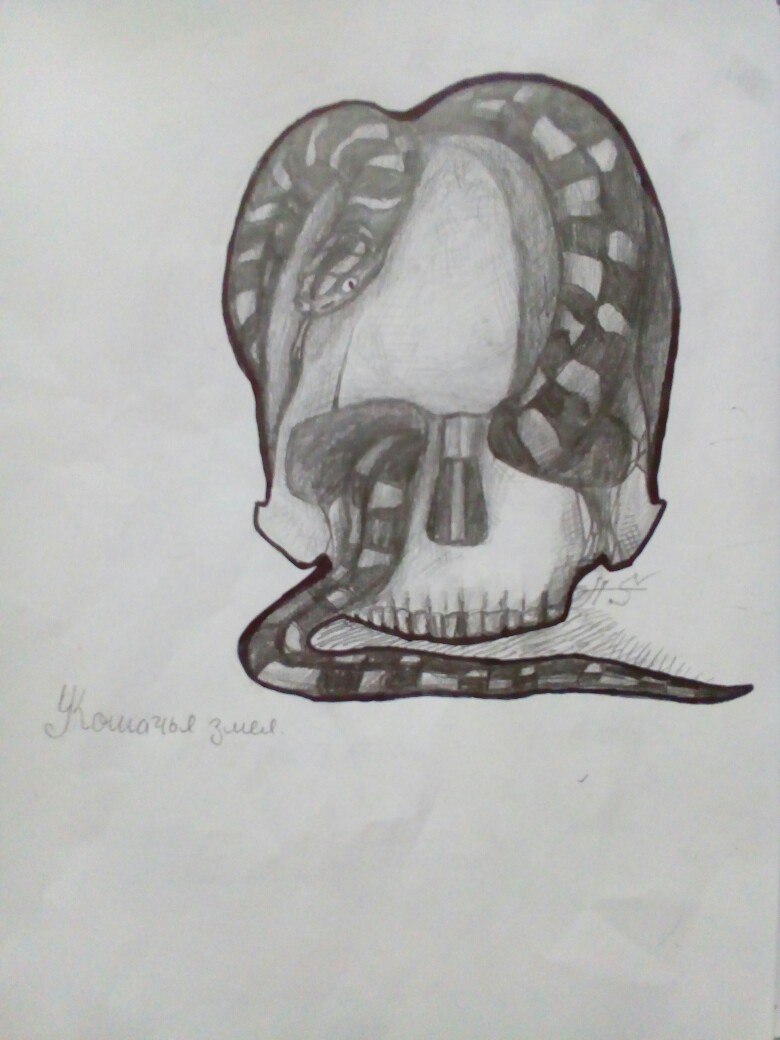 Кошачья змея