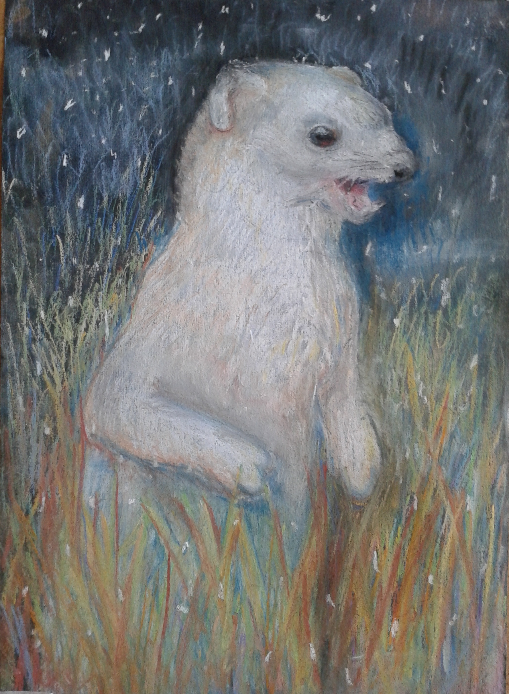 Горностай