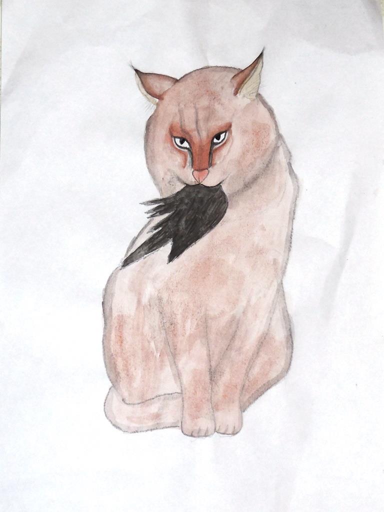 Амурский лесной кот