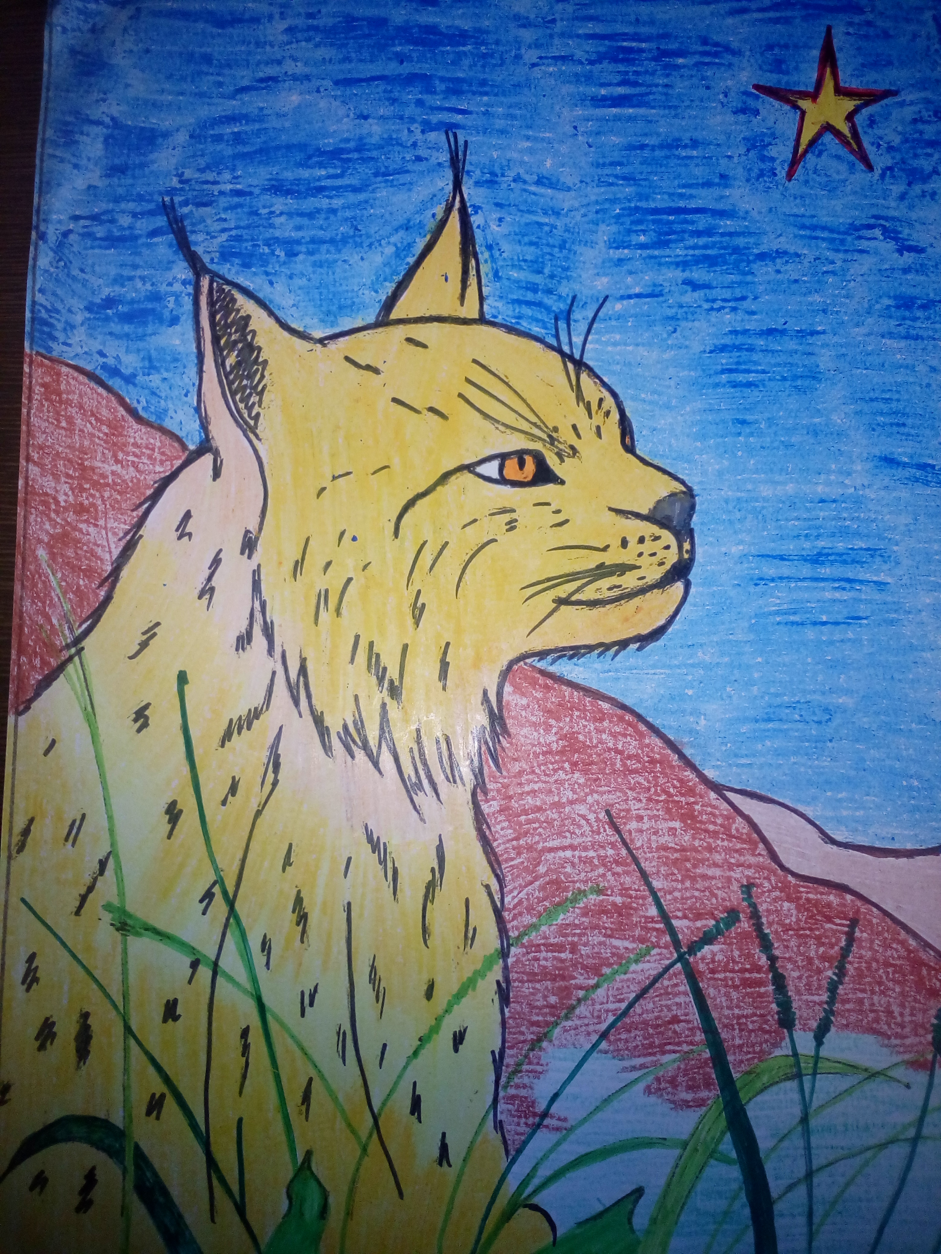 Кошка Сахалина