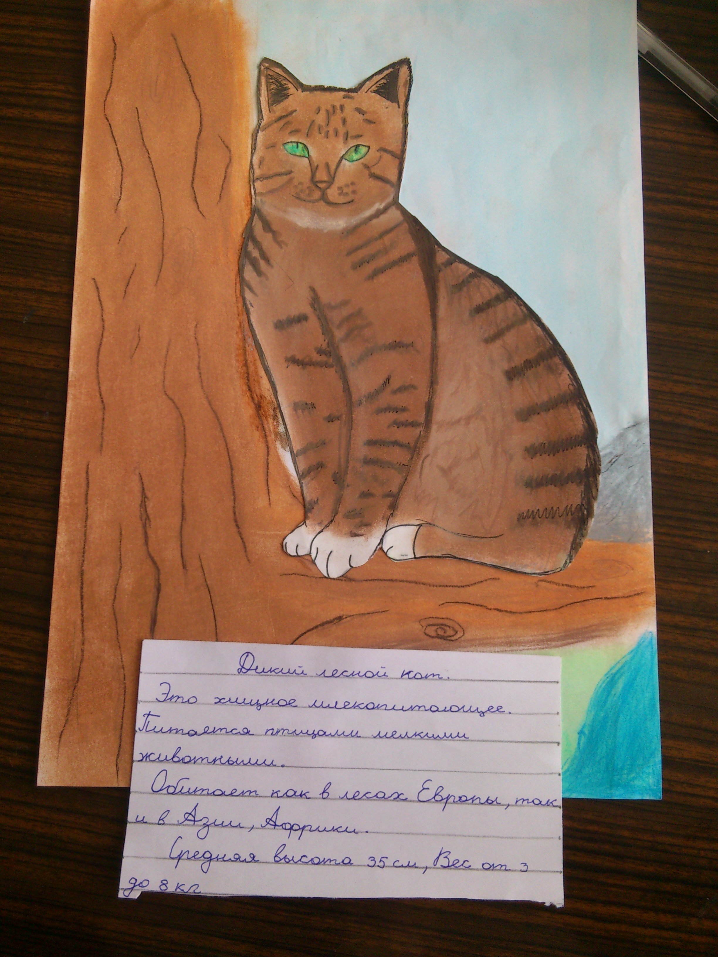 Дикий лесной кот