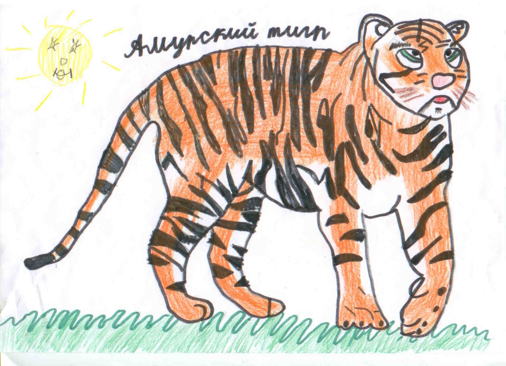 Красивая кошечка Красивая кошечка