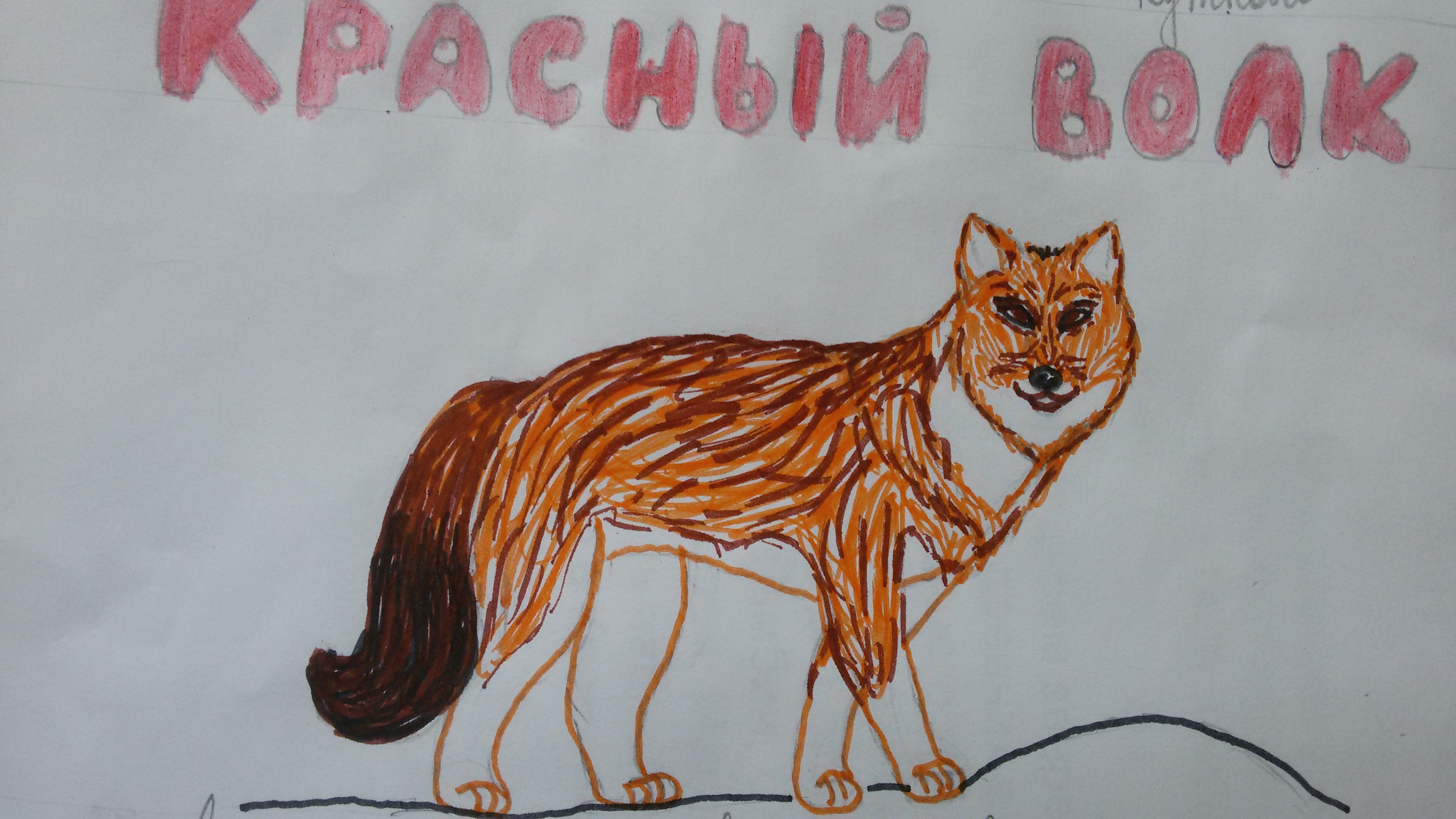красный волк красный волк
