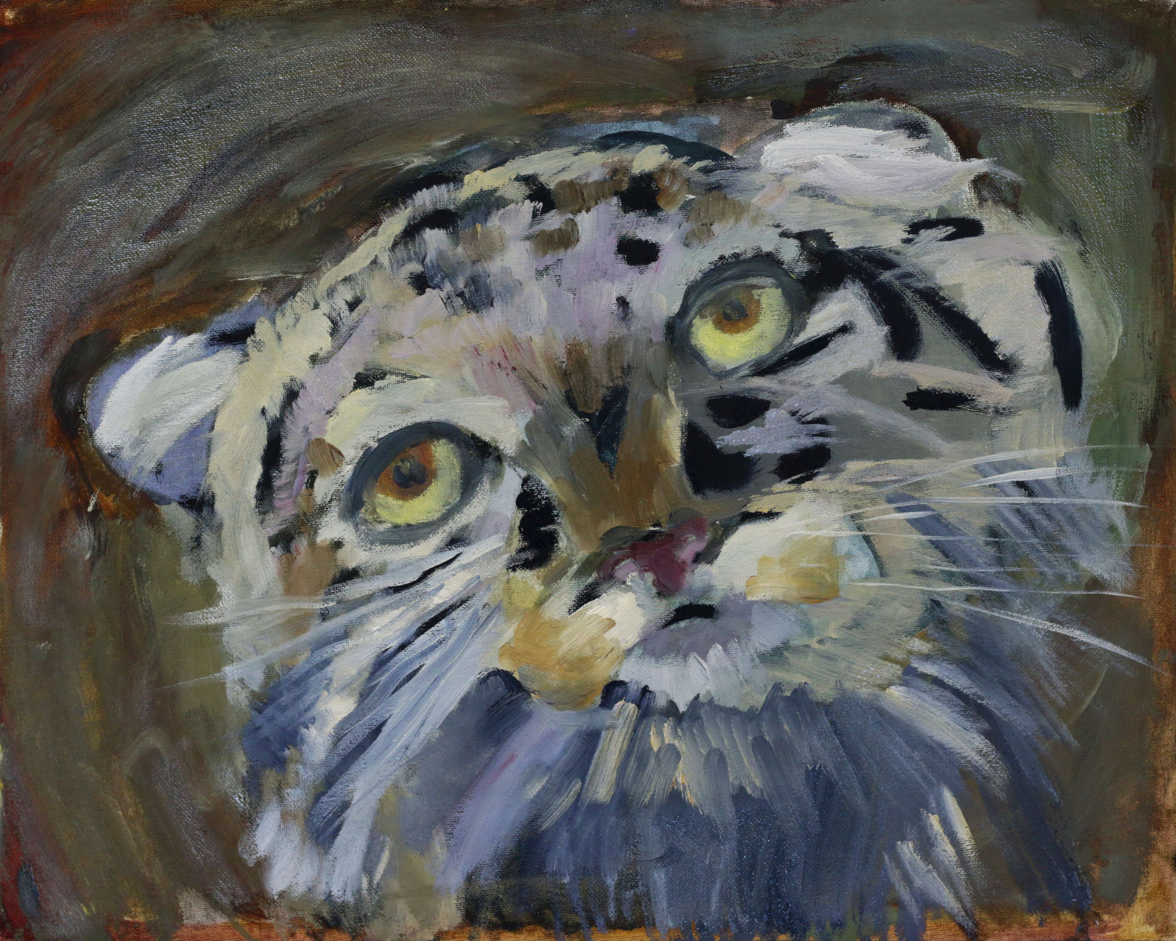 ДИКИЙ КОТ МАНУЛ ДИКИЙ КОТ МАНУЛ
