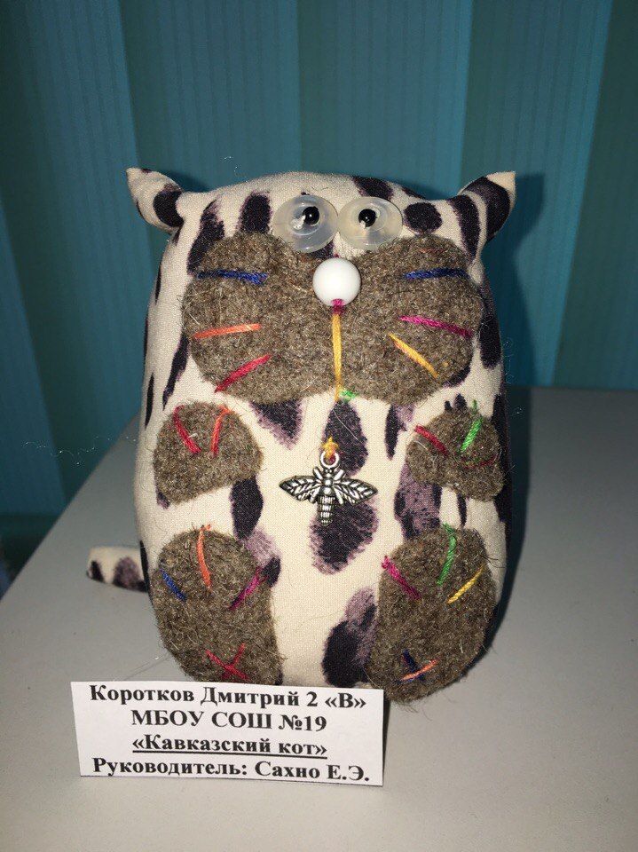 Кавказский кот Кавказский кот