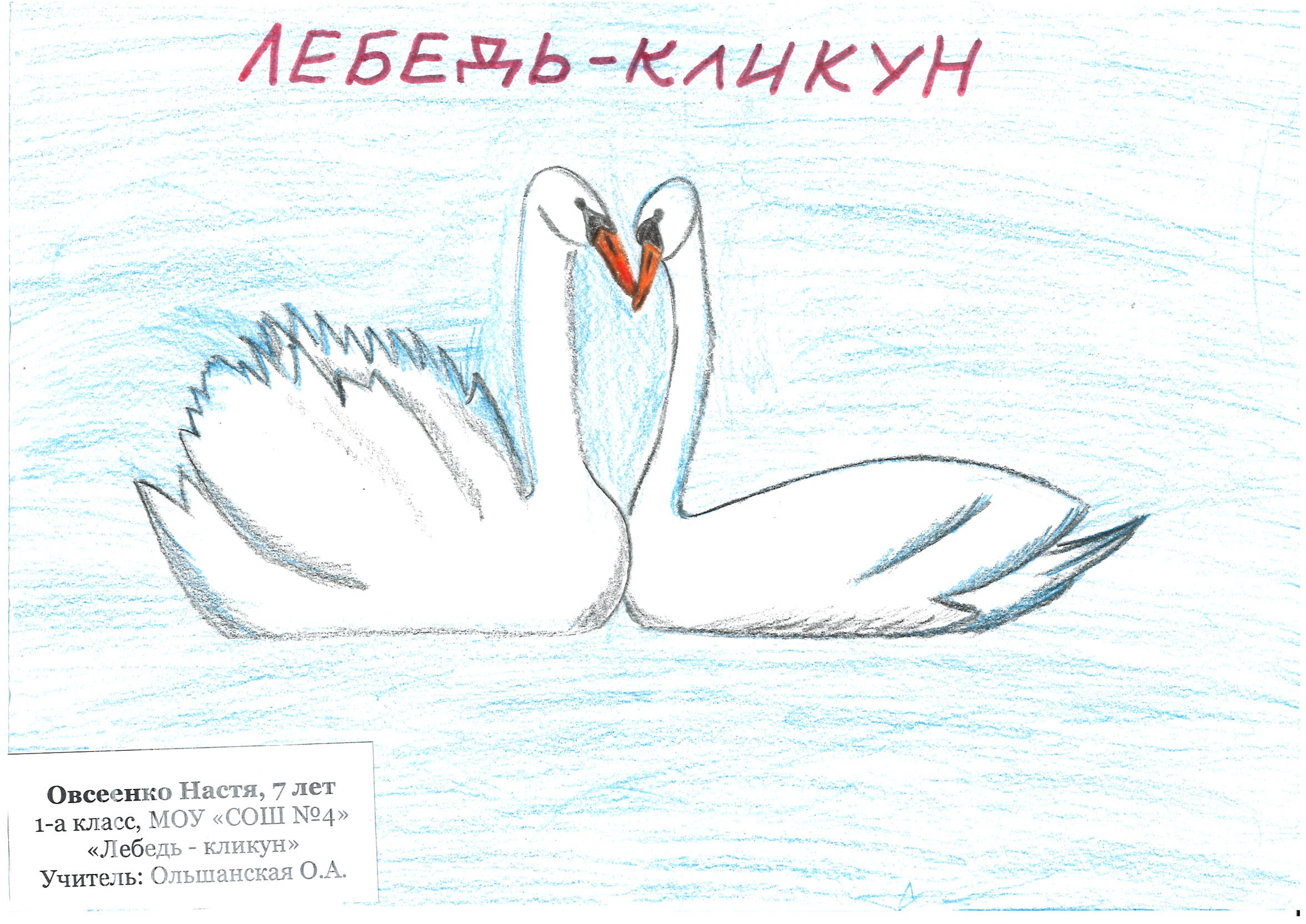 Лебедь-кликун