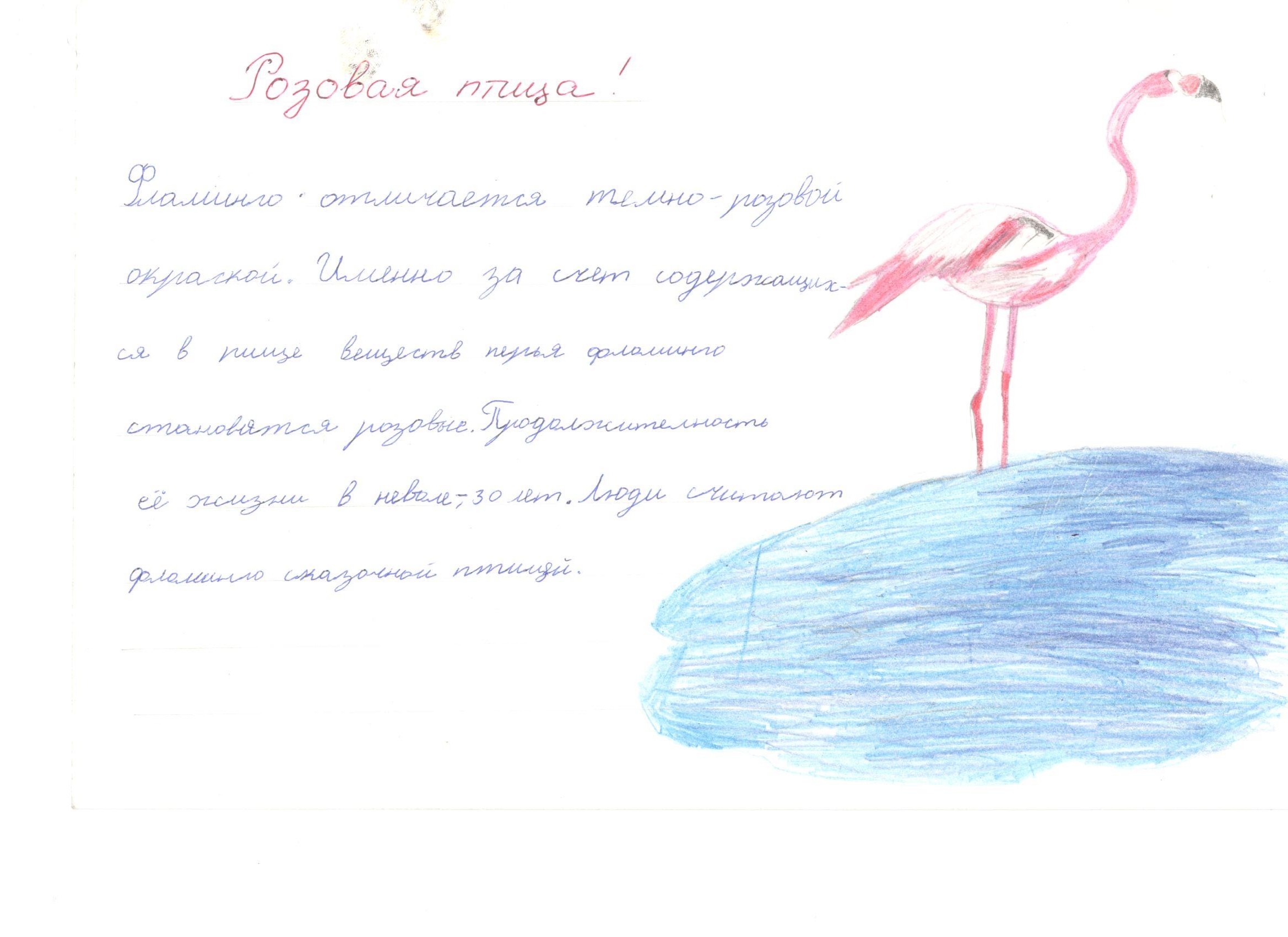 Розова птица Розова птица