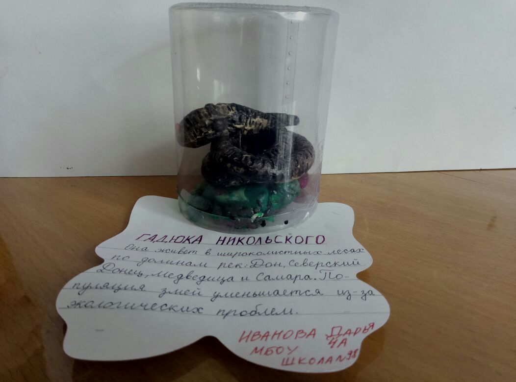 Галюка Никольского Галюка Никольского