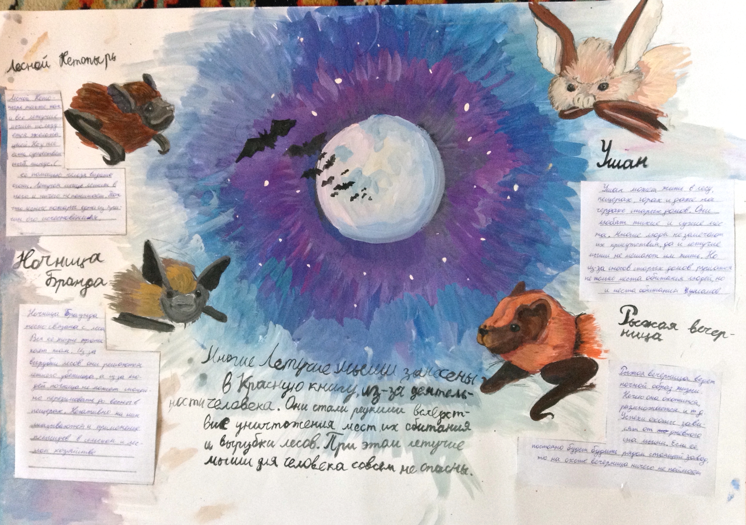 Летучие мыши Красной книги Летучие мыши Красной книги