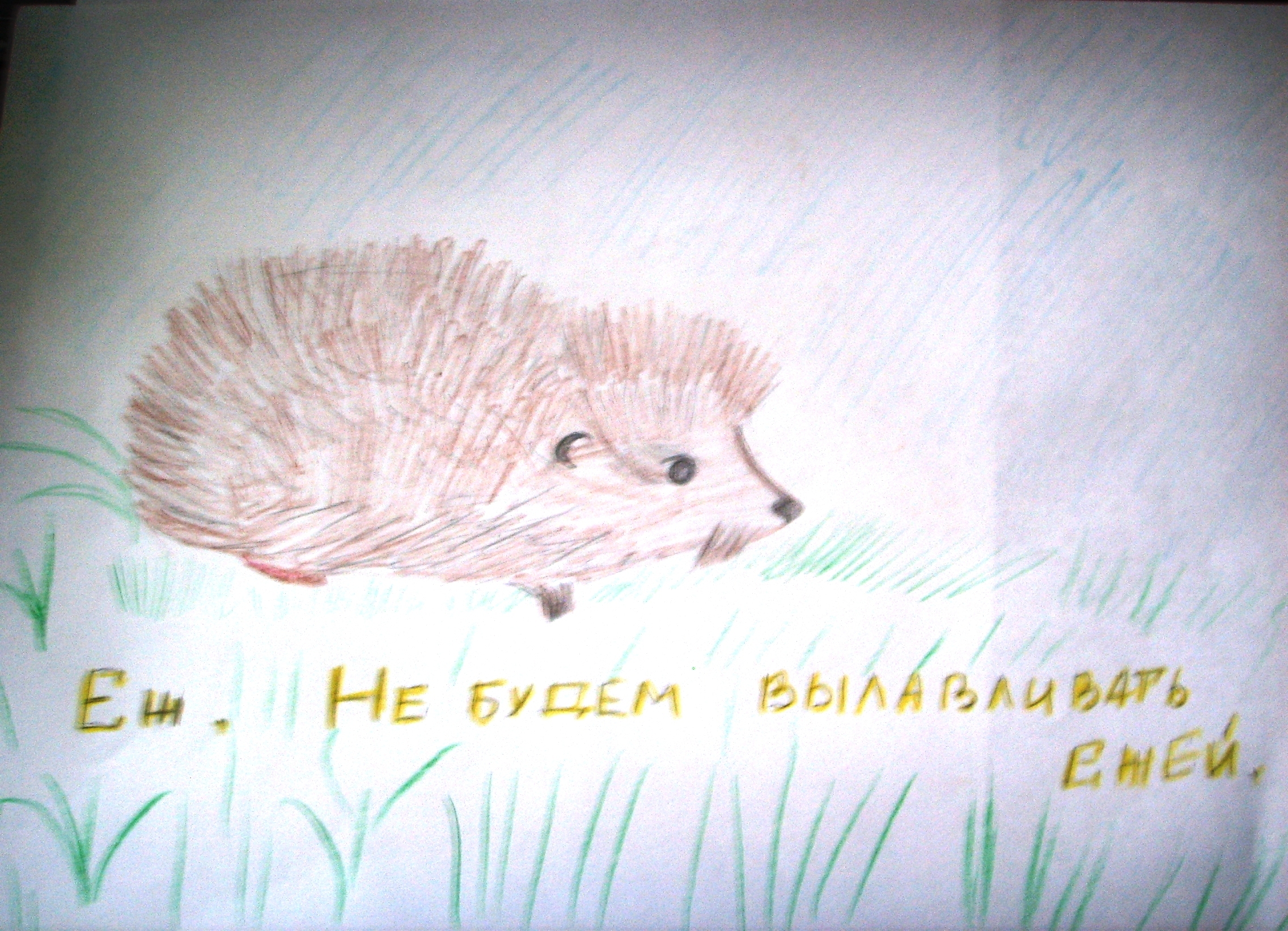 Колючий ёжик Колючий ёжик