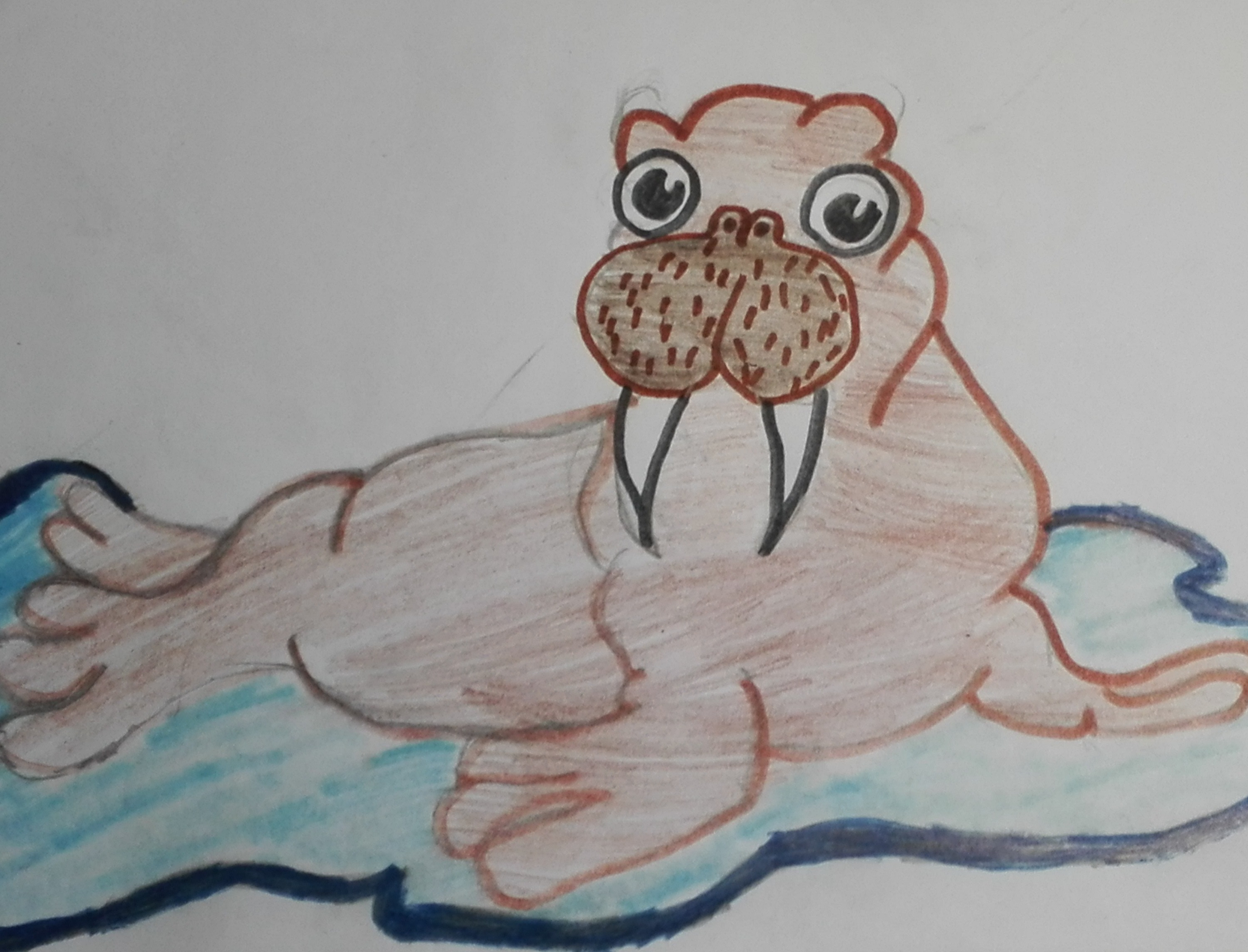 Морж Морж