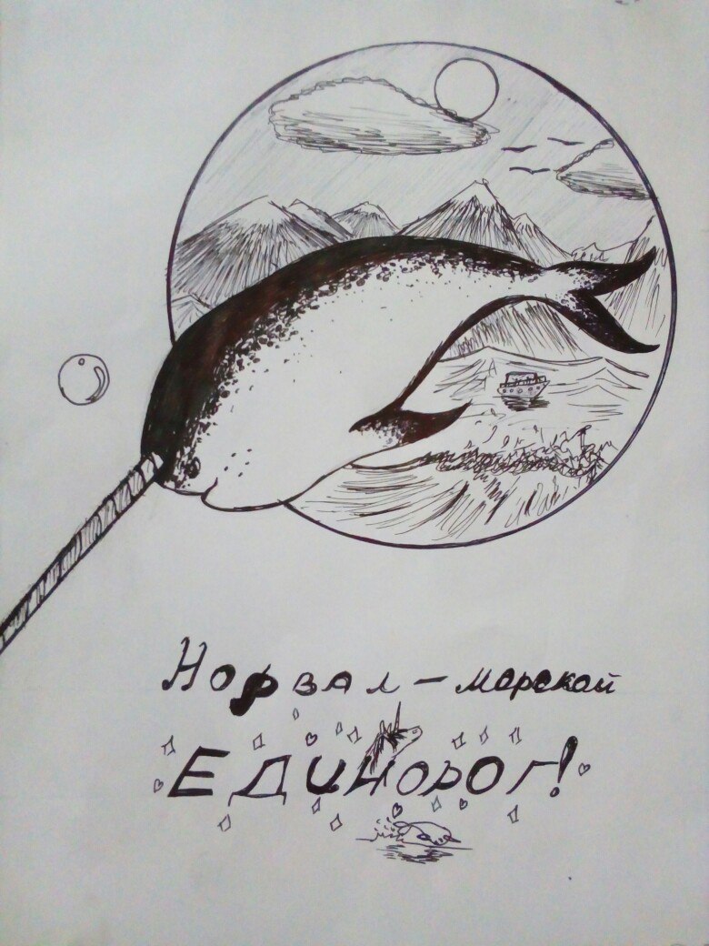 Мой нарвал