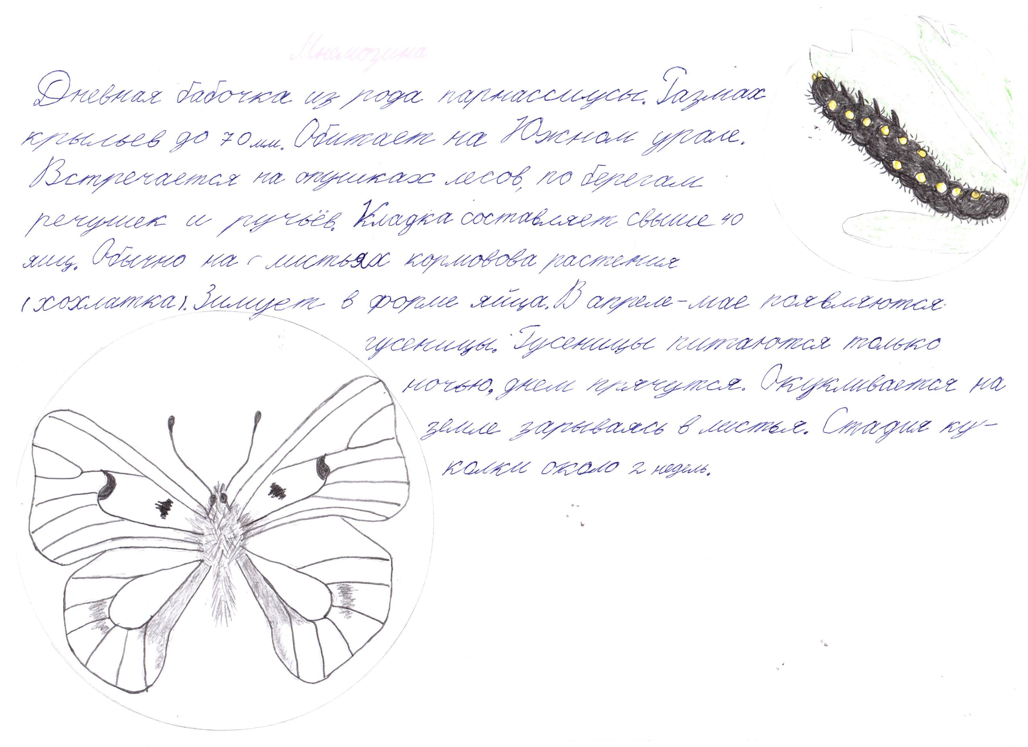 Мнемозина Мнемозина