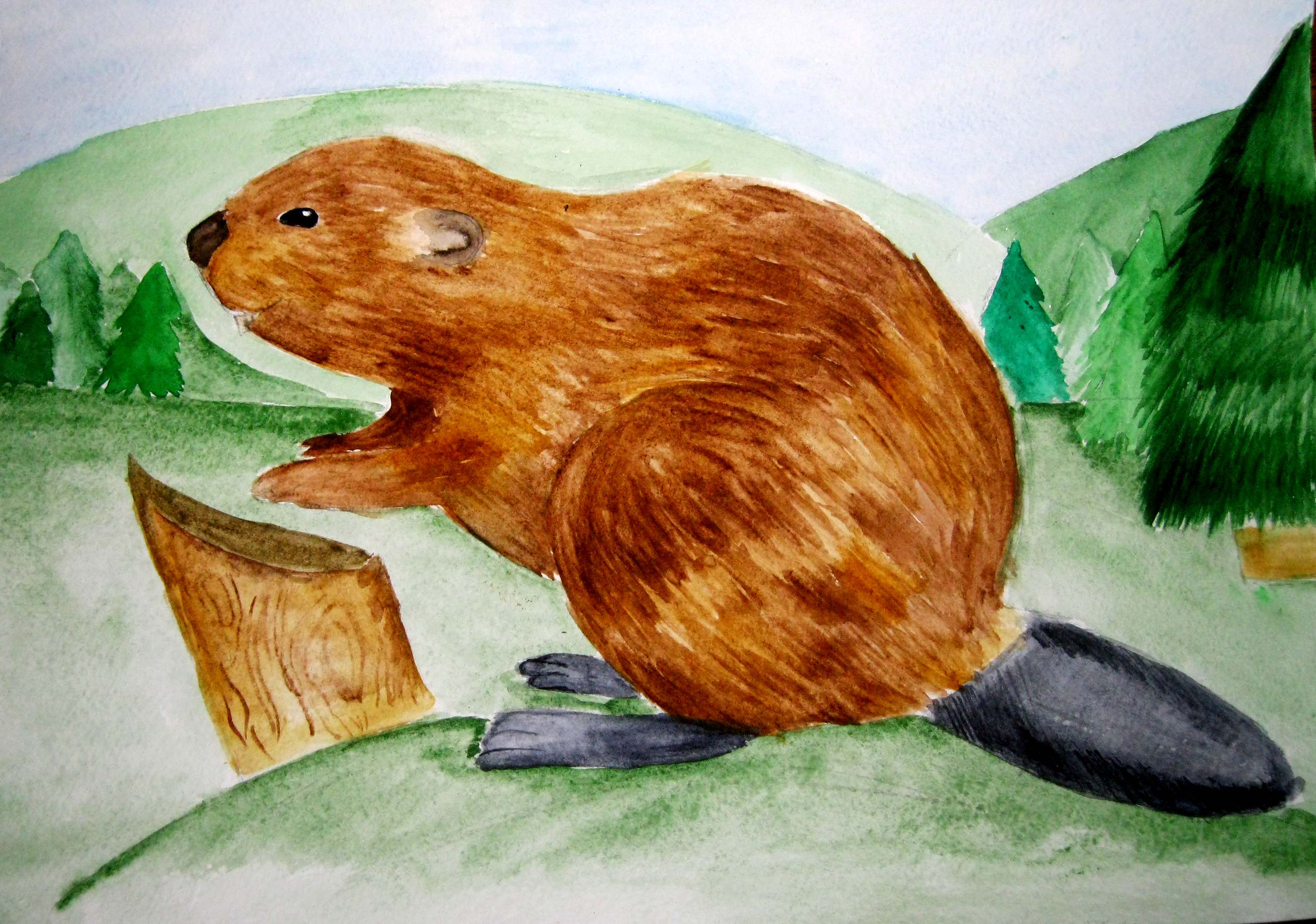 Речной бобр
