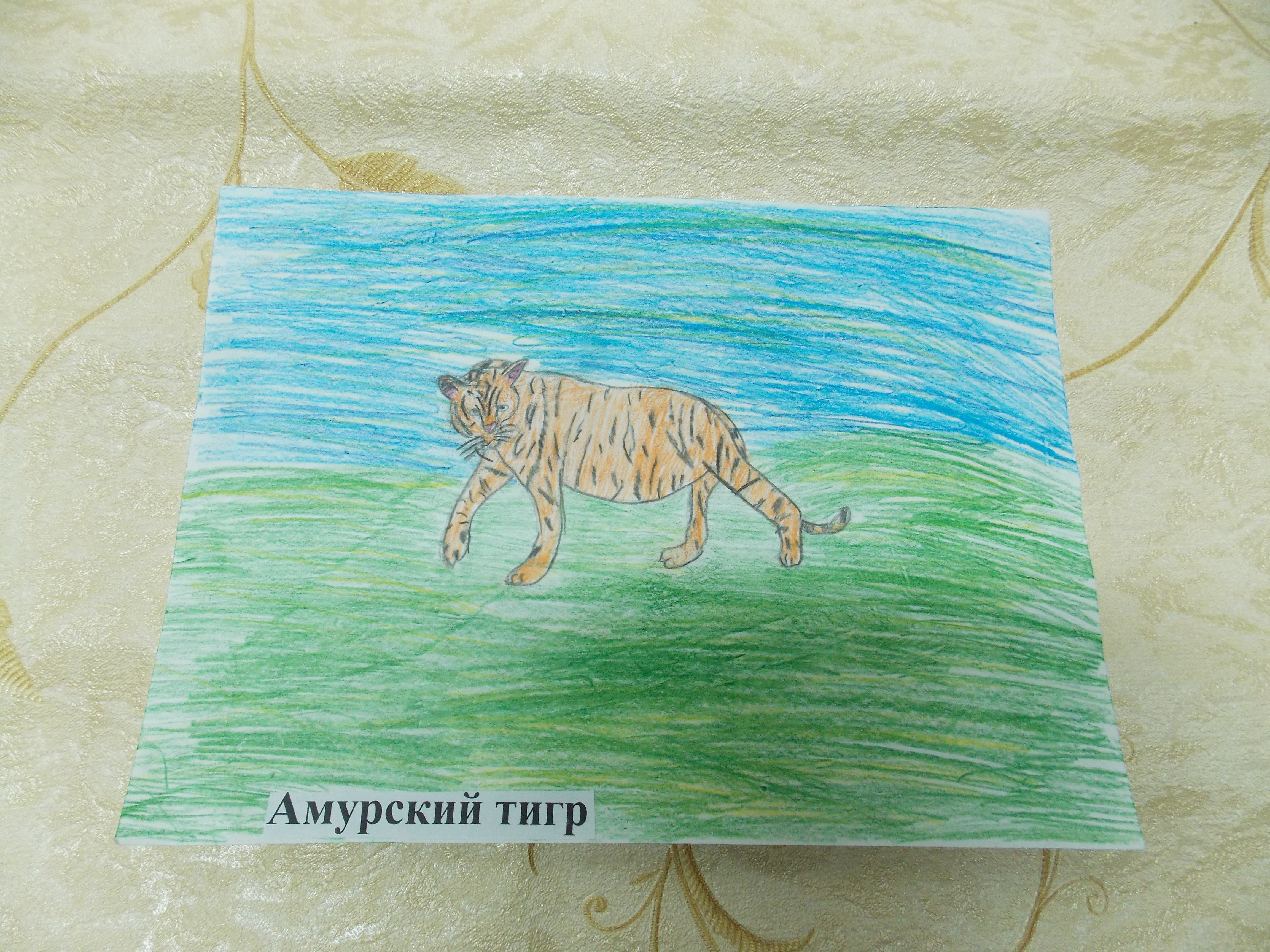 Амурский тигр Амурский тигр