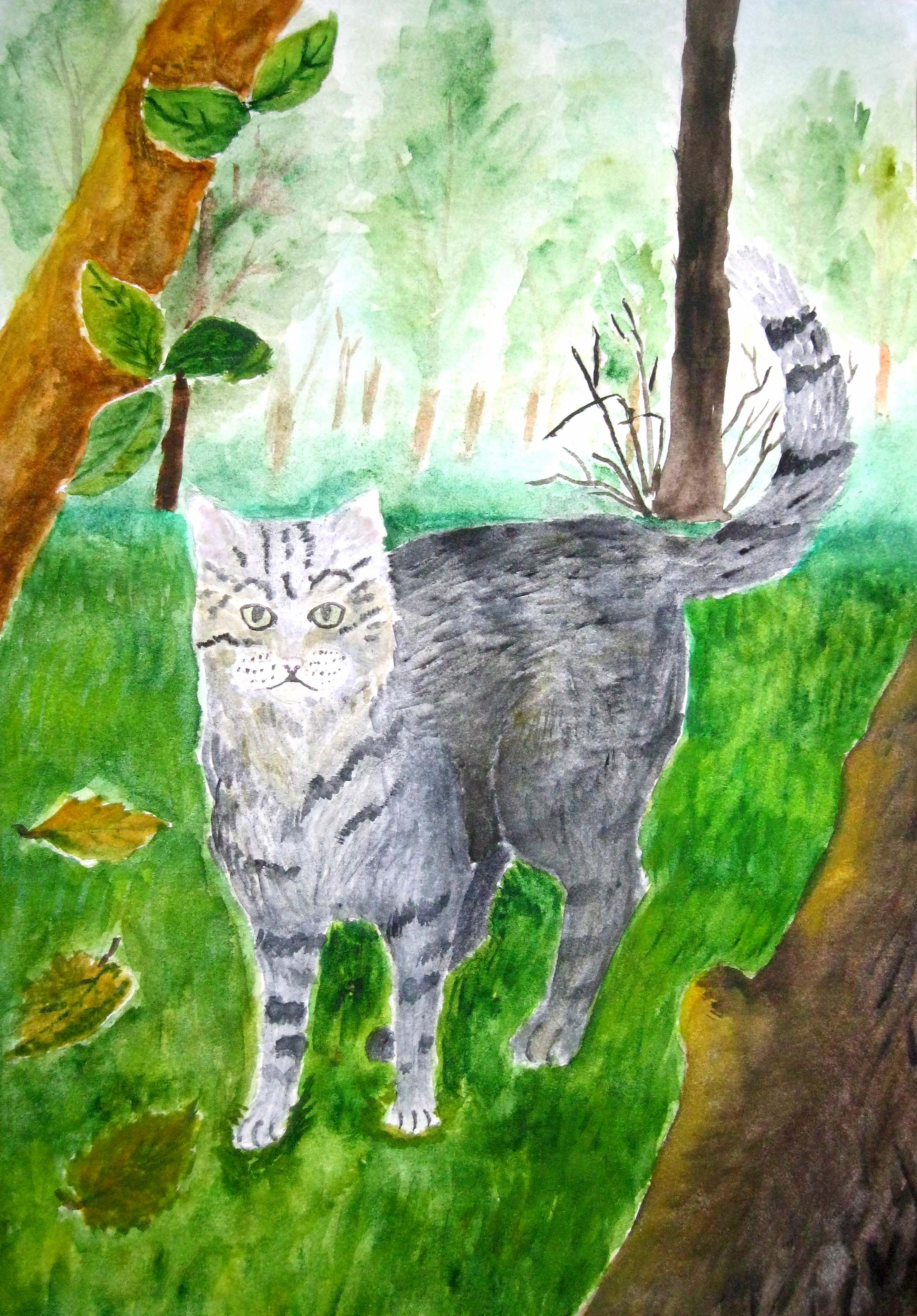 Камышовая кошка Камышовая кошка