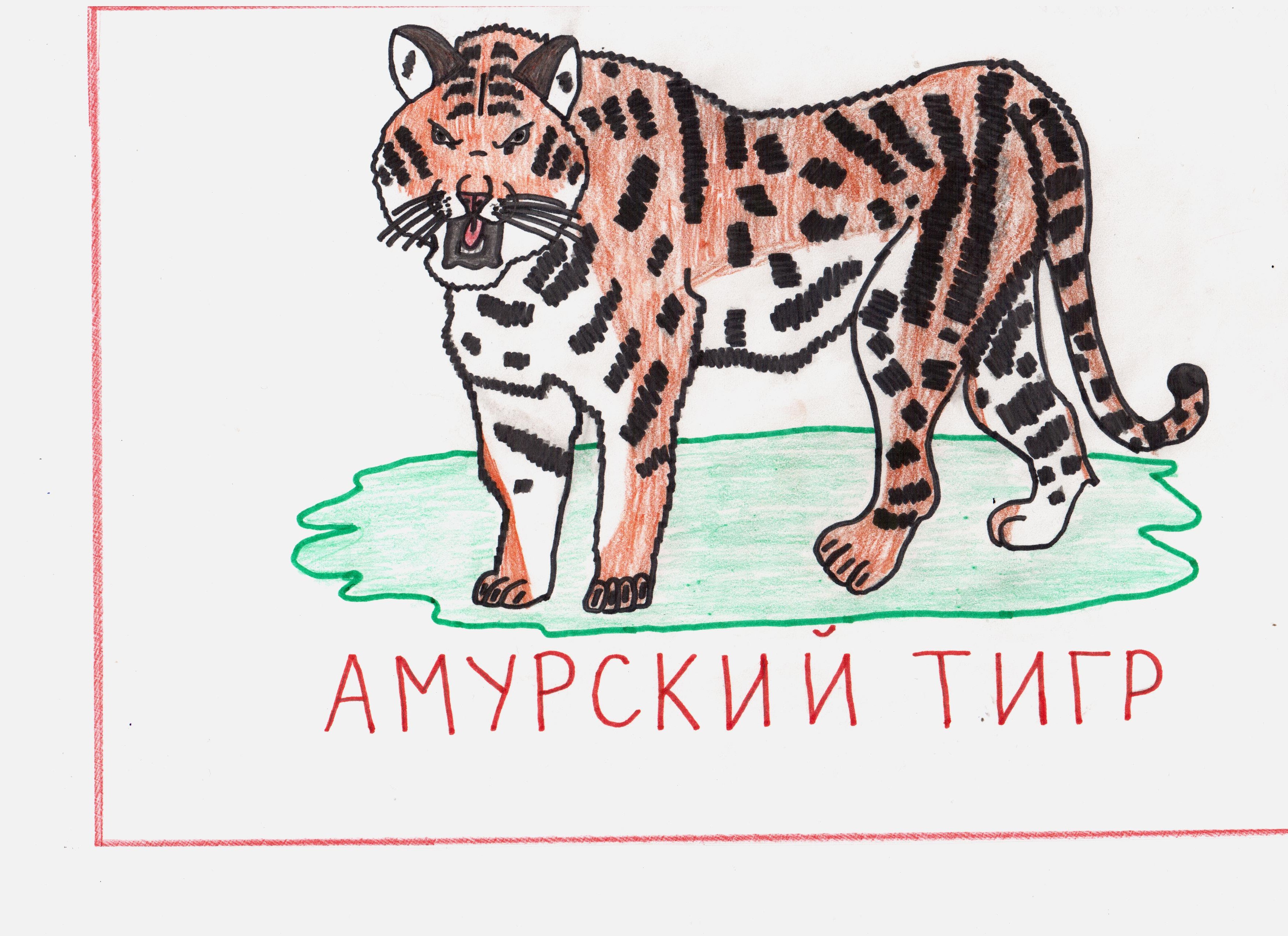 Амурский тигр Амурский тигр