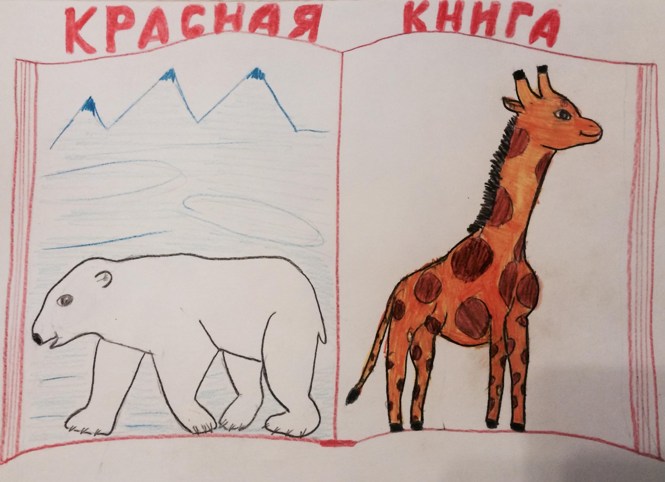 Животные Красной книги Животные Красной книги