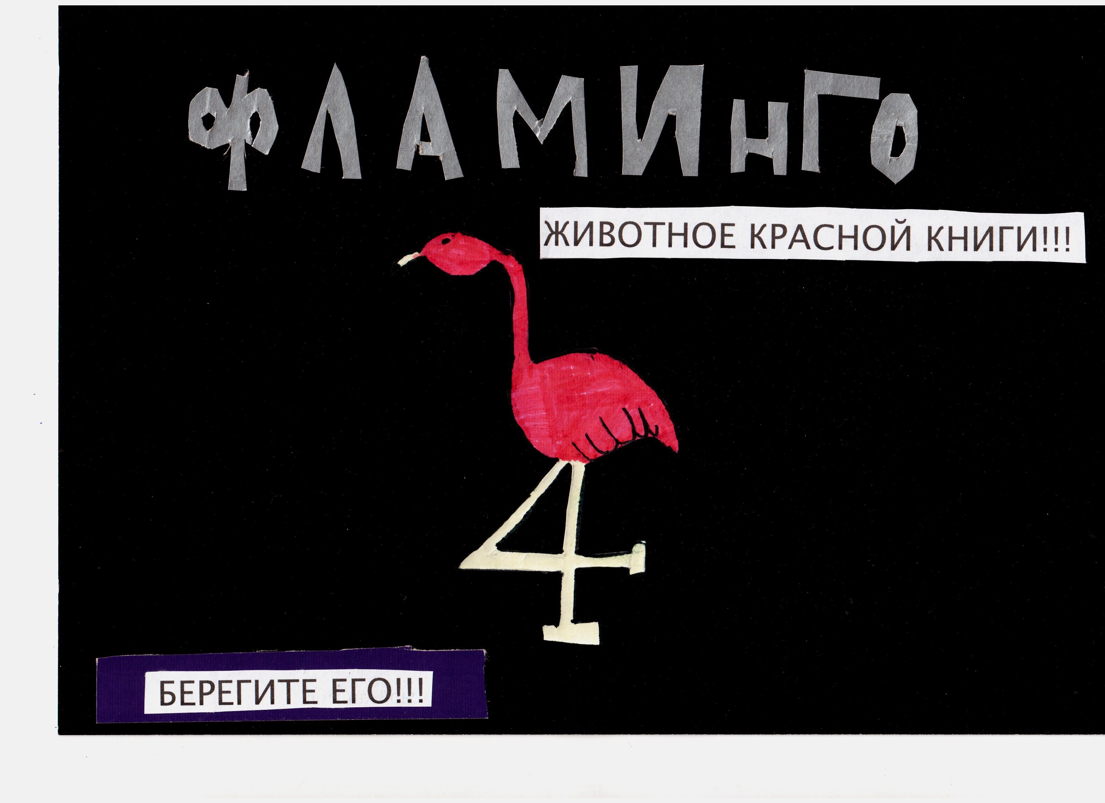 Фламинго